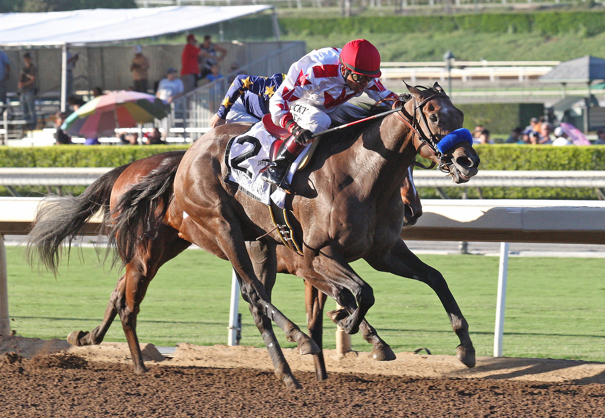 Noted and Quoted wins the Chandelier Stakes