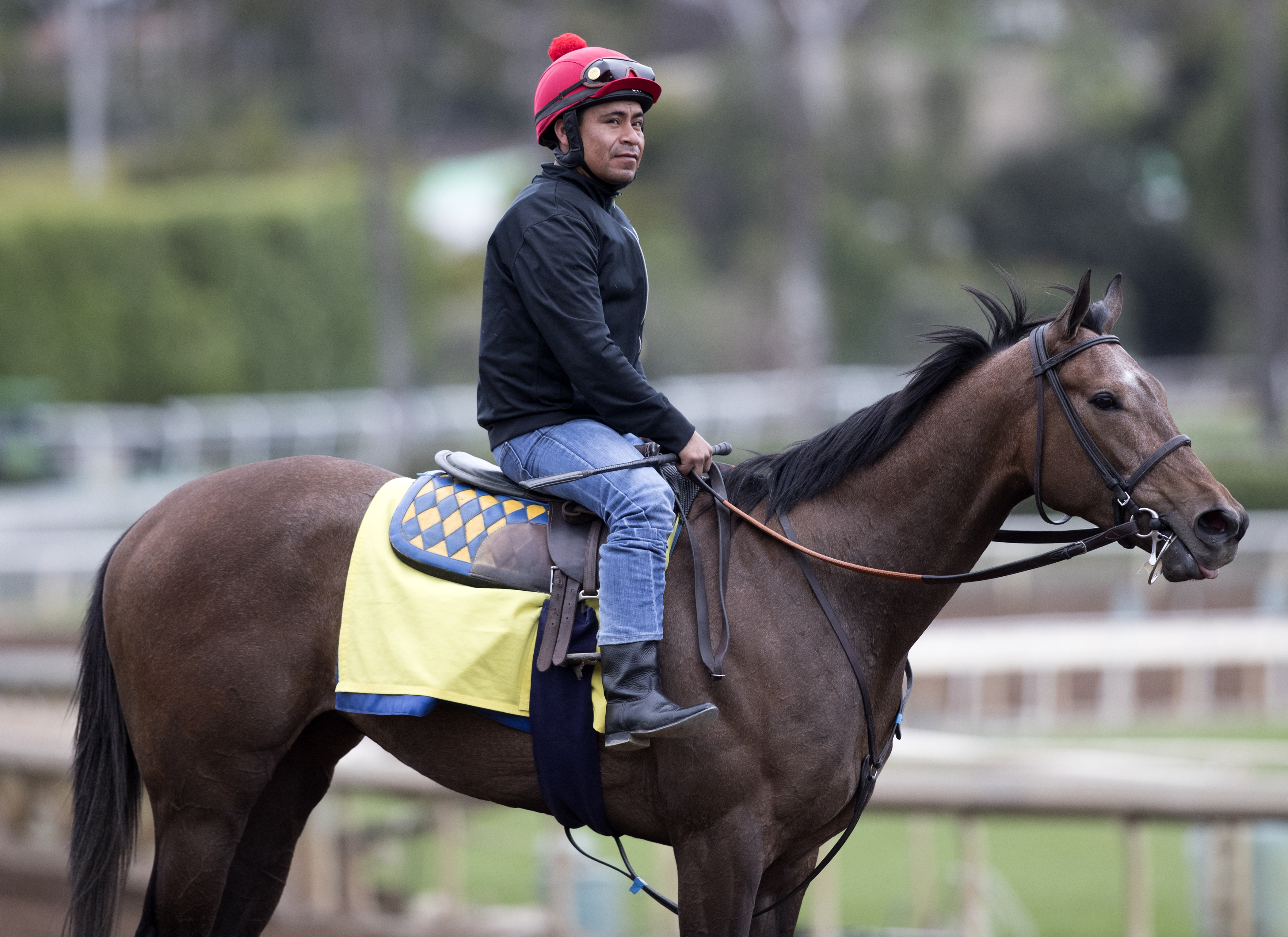 Noted and Quoted at Santa Anita on Feb. 27