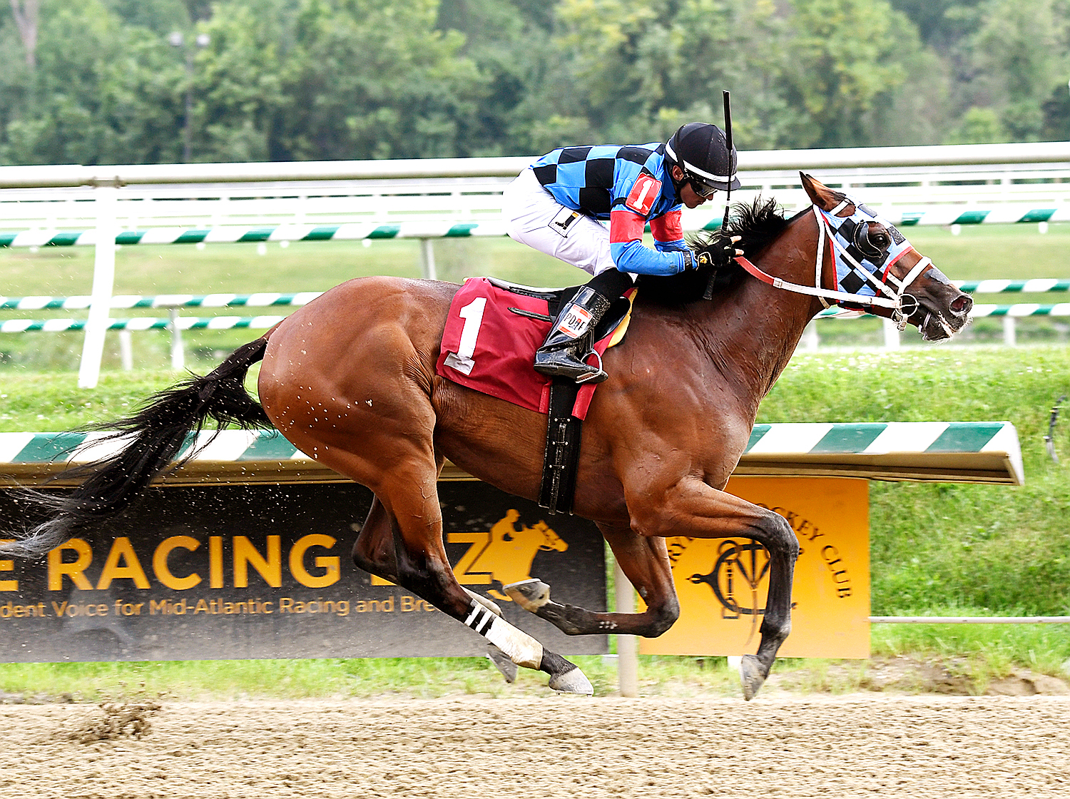 Noteworthy Peach wins an allowance race at Laurel Park