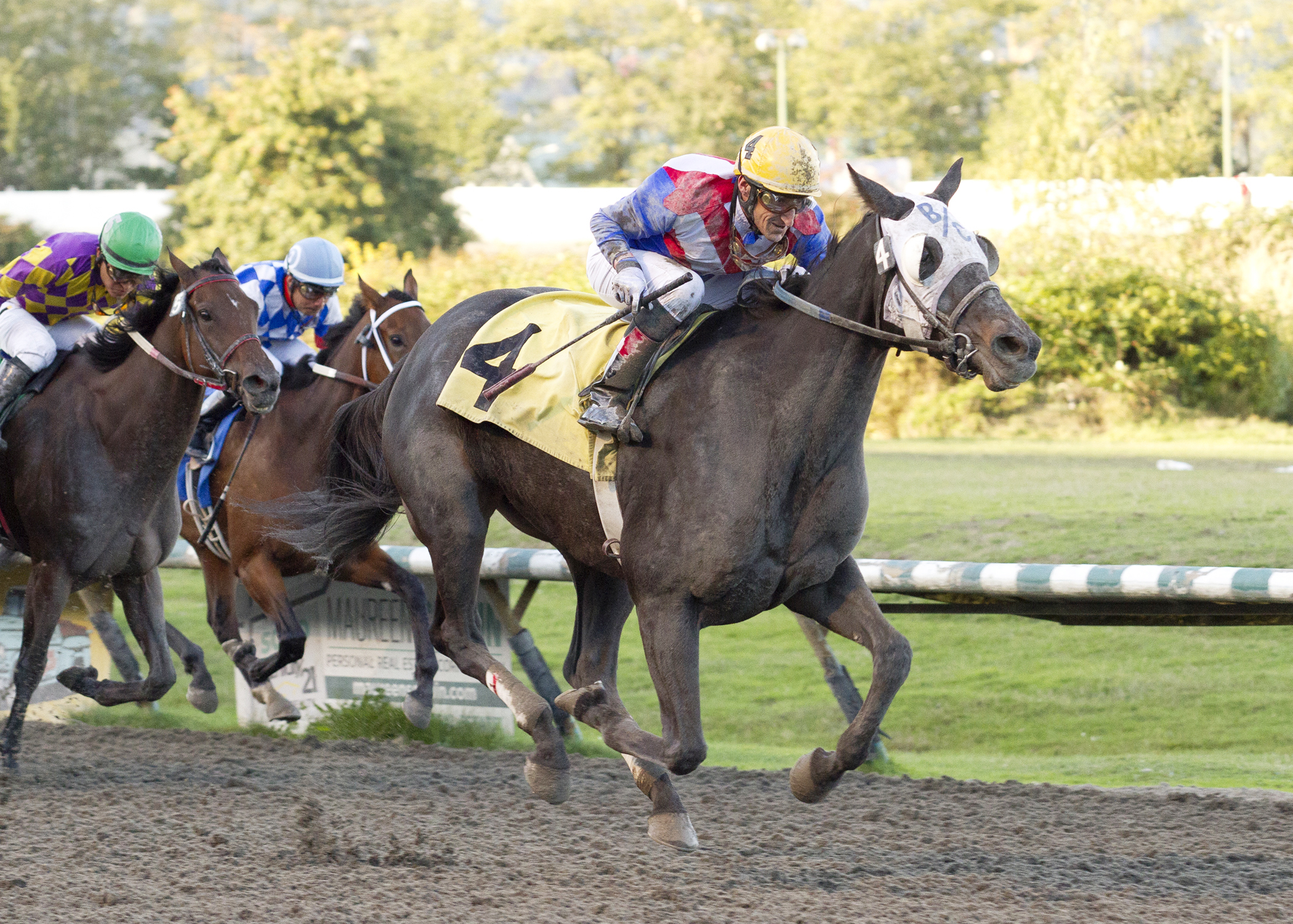 Notis the Jewell wins the 2017 Ballerina Stakes