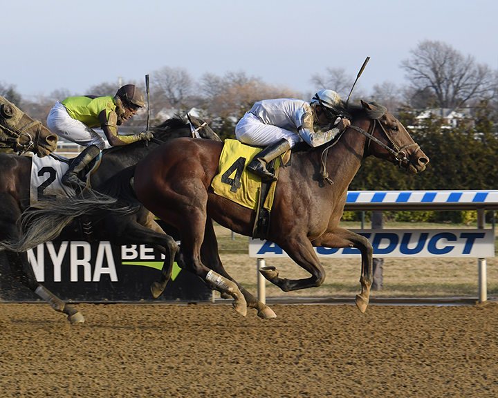Notorious Flirt wins a Dec. 28 maiden race at Aqueduct Racetrack
