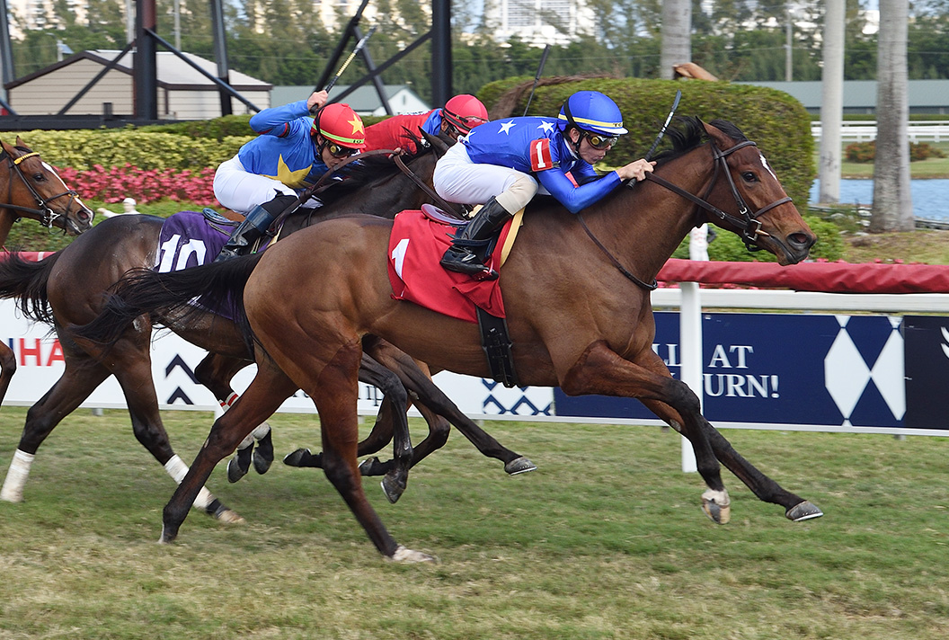Notorious R B G wins a March 4 maiden race at Gulfstream Park