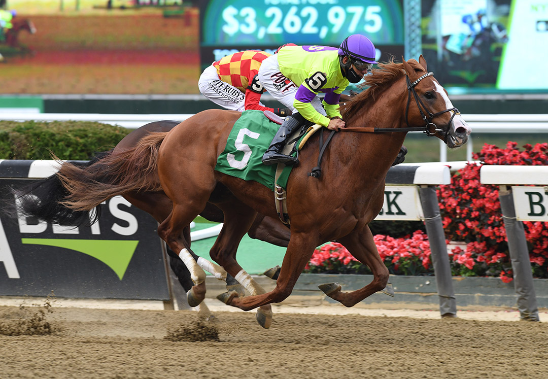 Nova Rags wins an Oct. 10 maiden race at Belmont Park