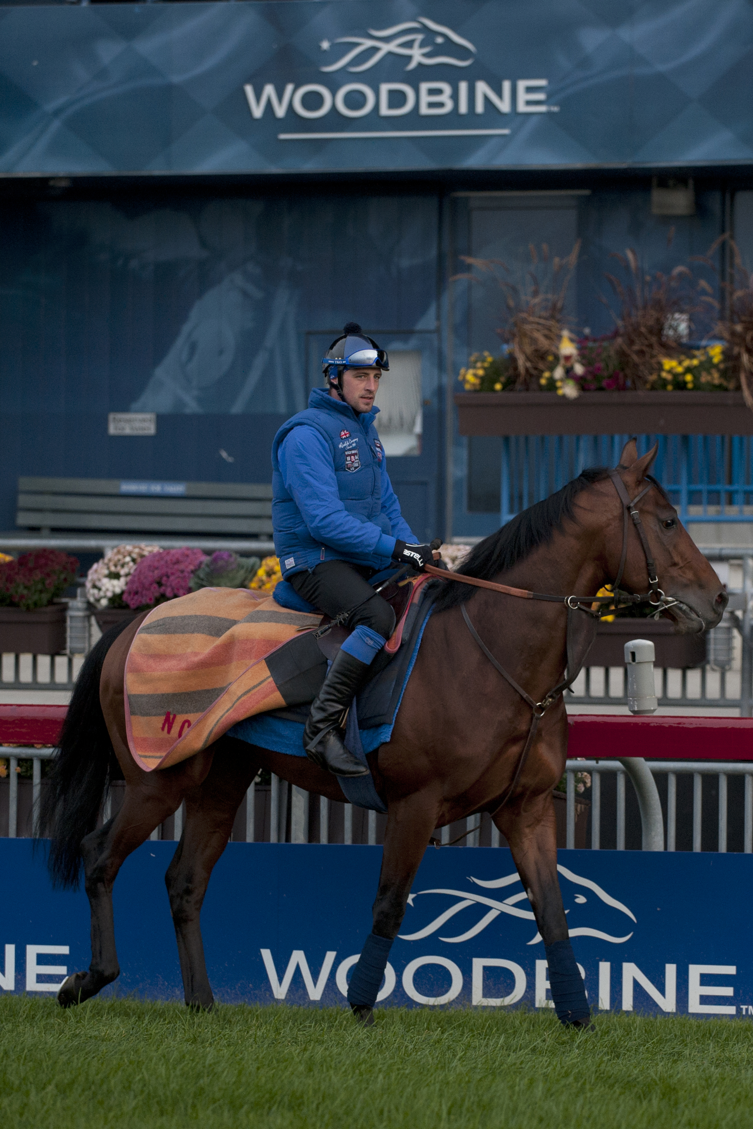 Now We Can at Woodbine Racetrack