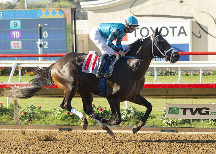 Nucky wins an Aug. 21 maiden race at Del Mar