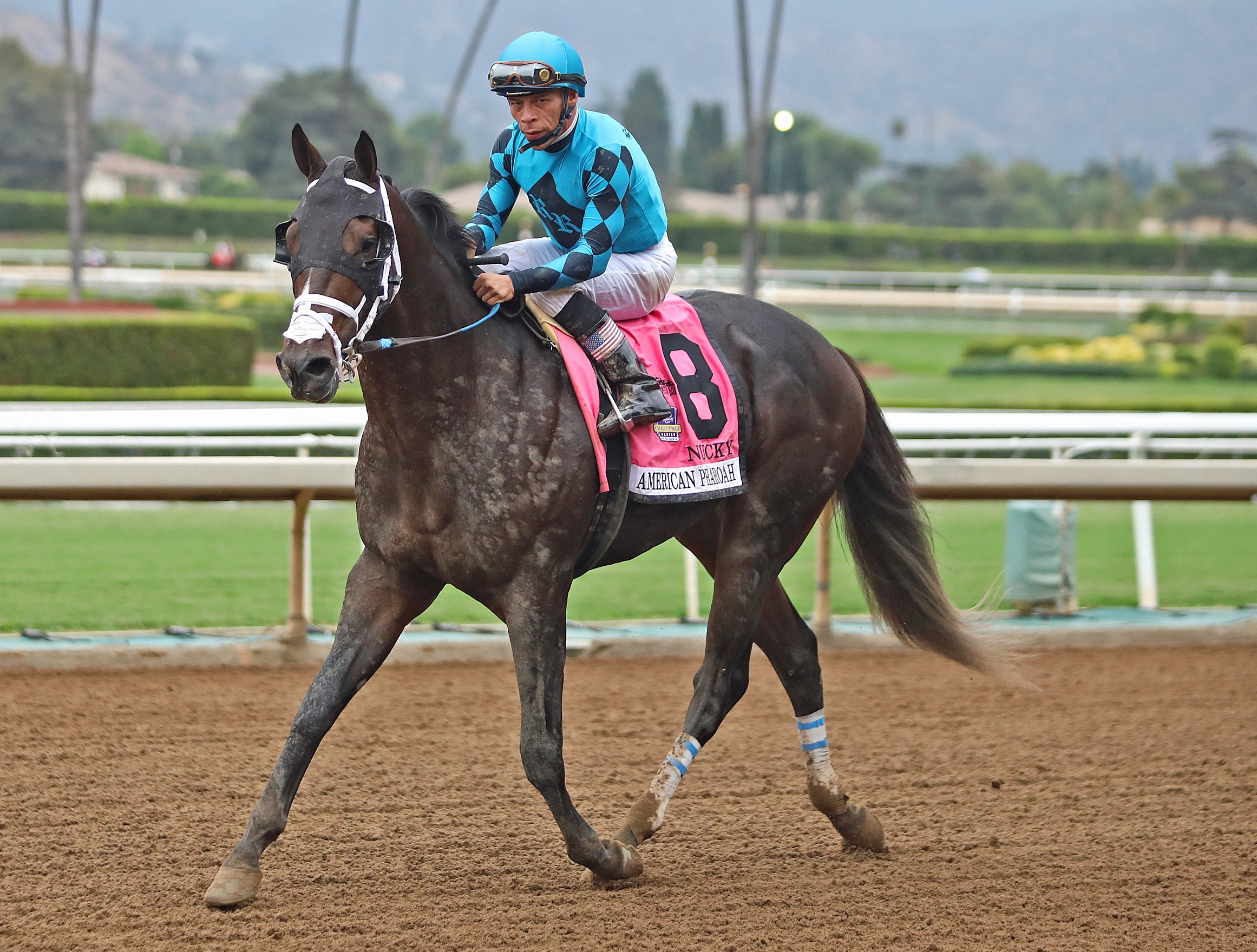 Nucky at Santa Anita on 9.27.19