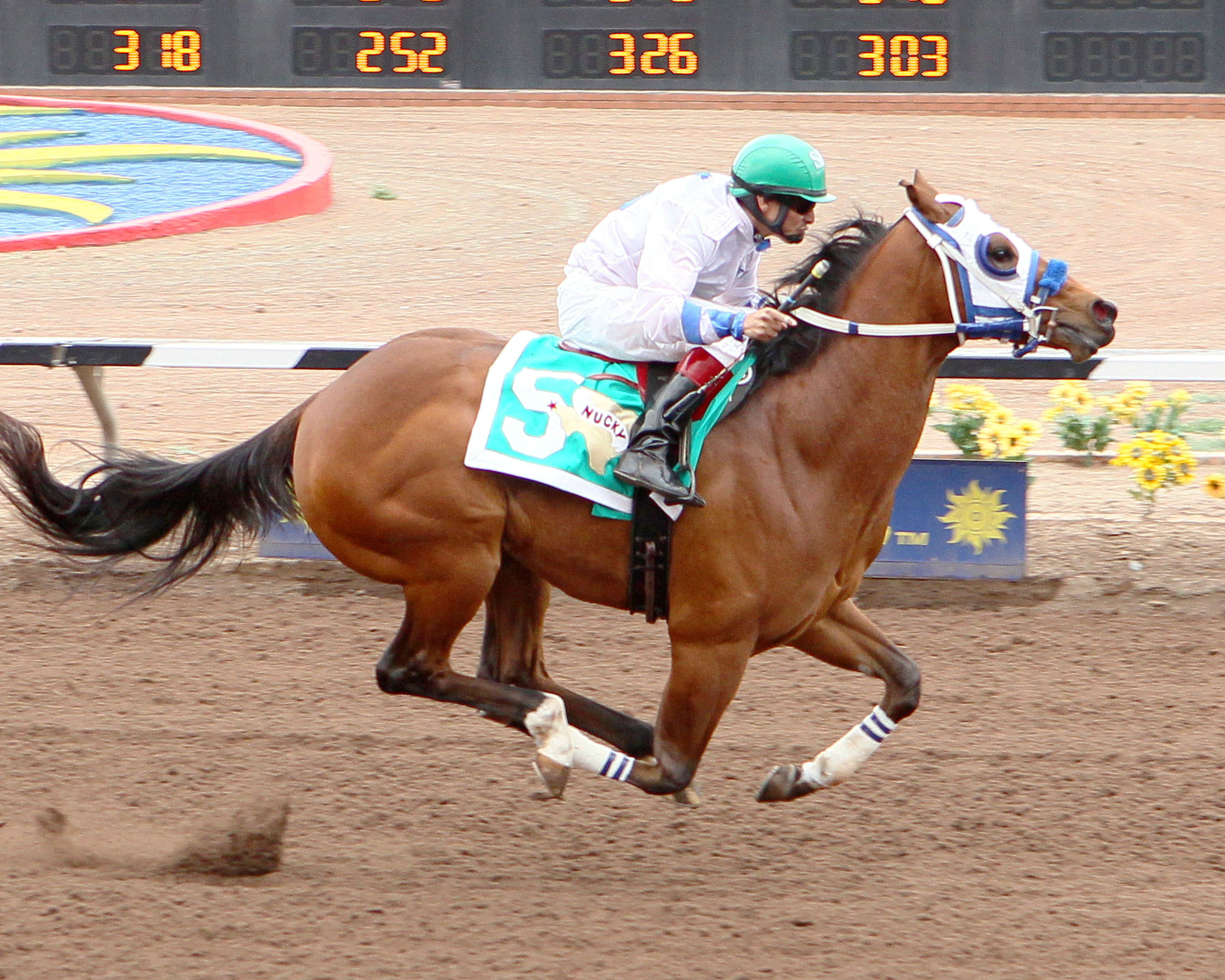 Nucky wins the West Texas Futurity