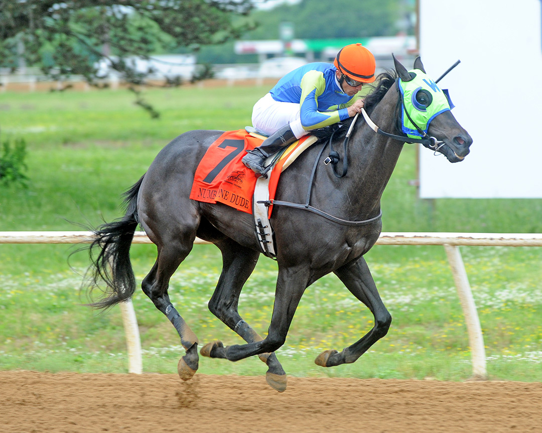 Number One Dude wins the 2021 Will Rogers Stakes at Will Rogers Downs