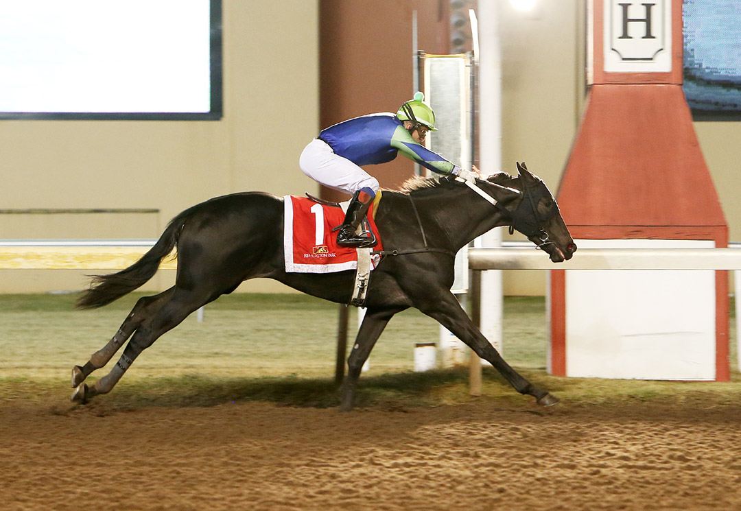 Number One Dude wins the 2020 Oklahoma Classics Juvenile at Remington Park
