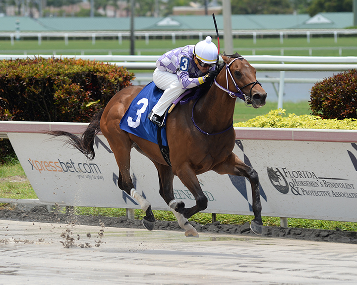 Nunc Pro Tunc wins a June 9 allowance at Gulfstream