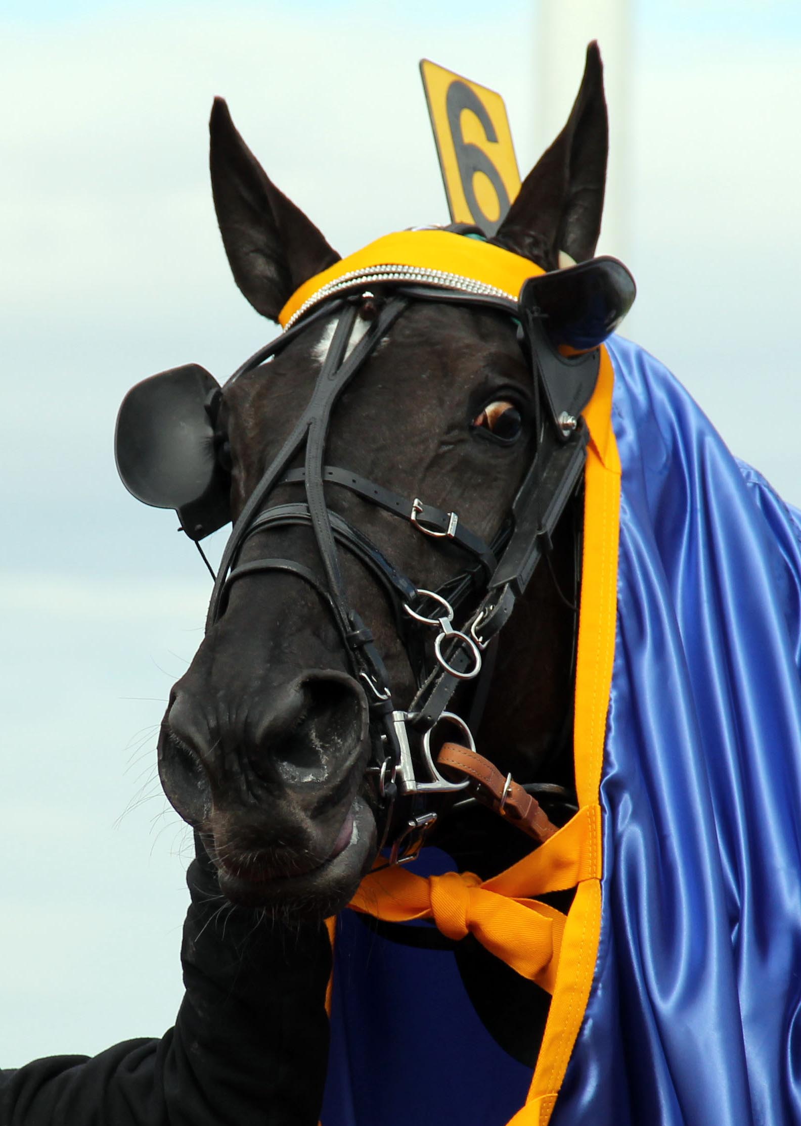 Nuncio