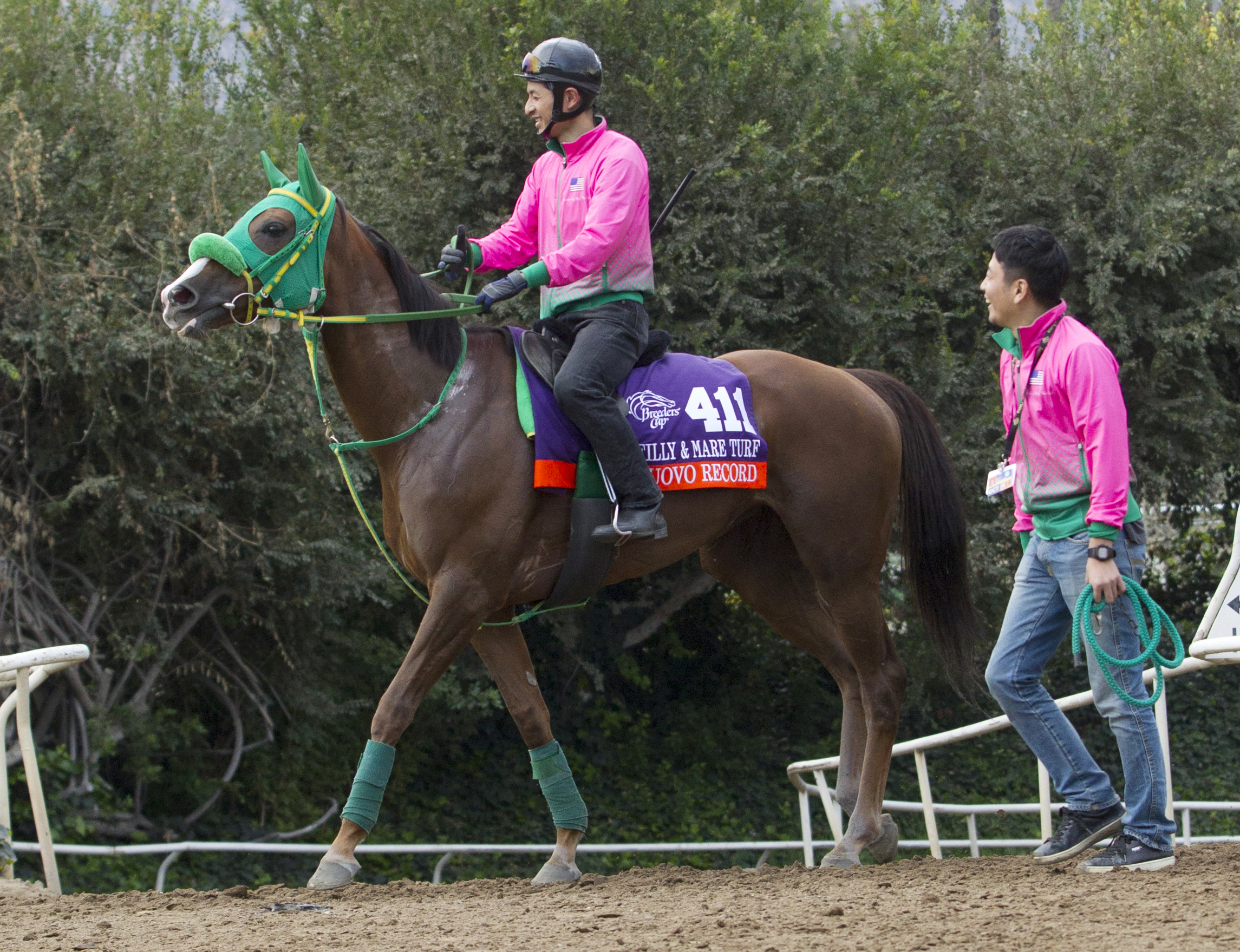 Nuovo Record at Santa Anita on Oct. 28