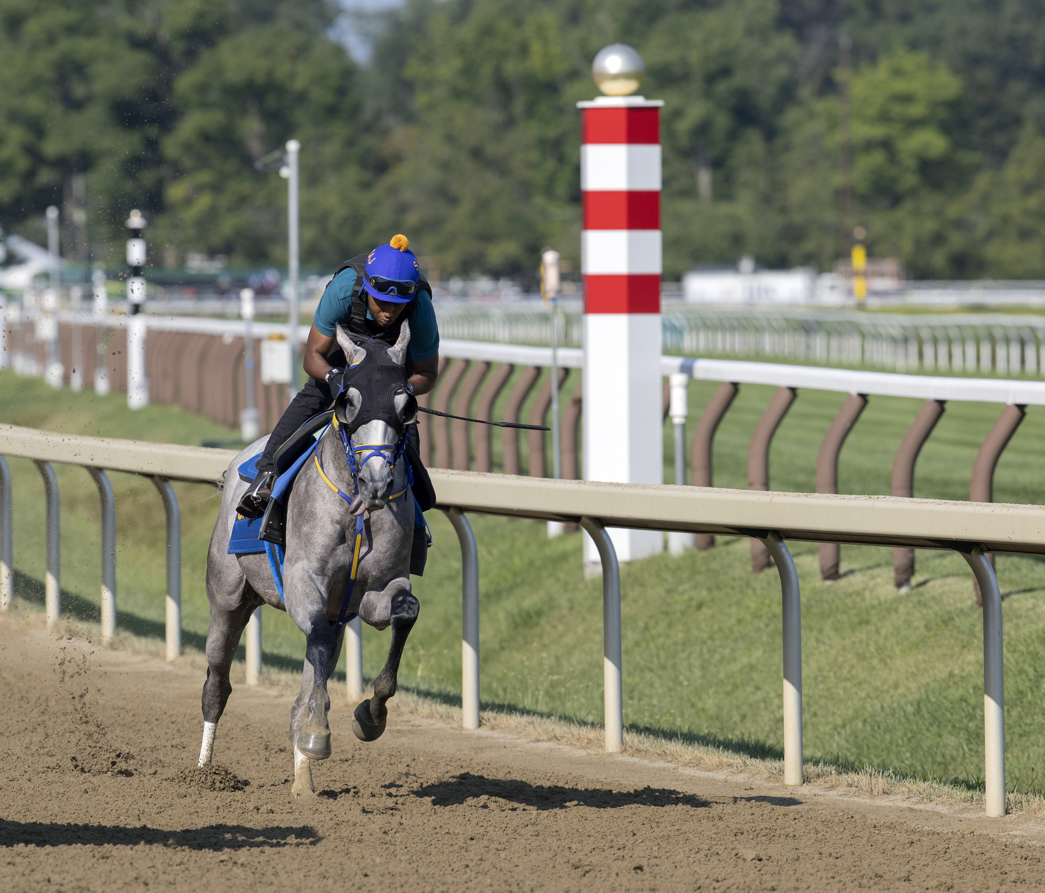 Ny Traffic breezes a half mile at Saratoga on July 22 2022