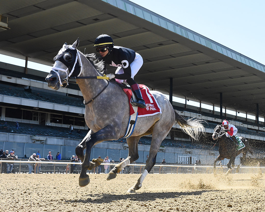 Ny Traffic wins the 2022 Affirmed Success Stakes at Belmont Park