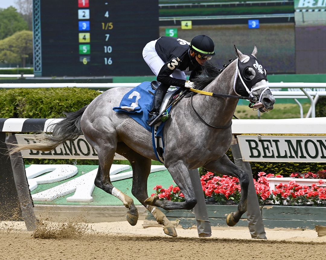 Ny Traffic wins a May 2 allowance race at Belmont Park