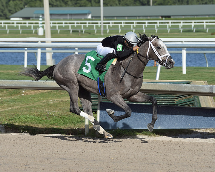 Ny Traffic wins a Jan. 11 allowance race at Gulfstream Park