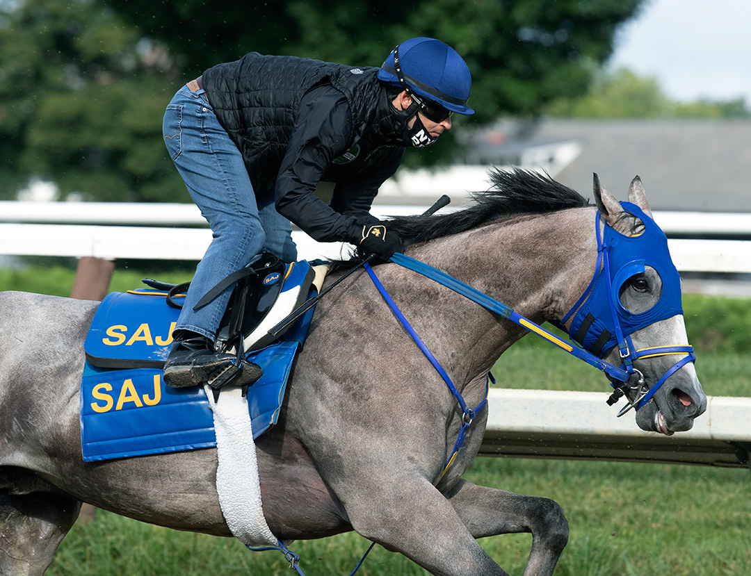 Ny Traffic trains at Saratoga Race Course on Aug. 28