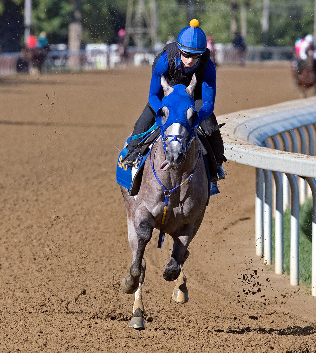 Ny Traffic trains at Saratoga Race Course on Aug. 20