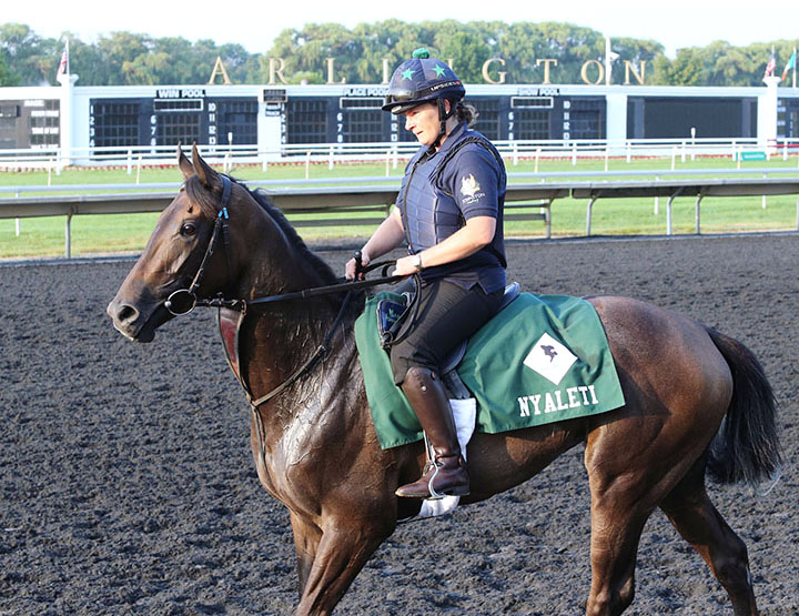 Nyaleti at Arlington Park in August 2018