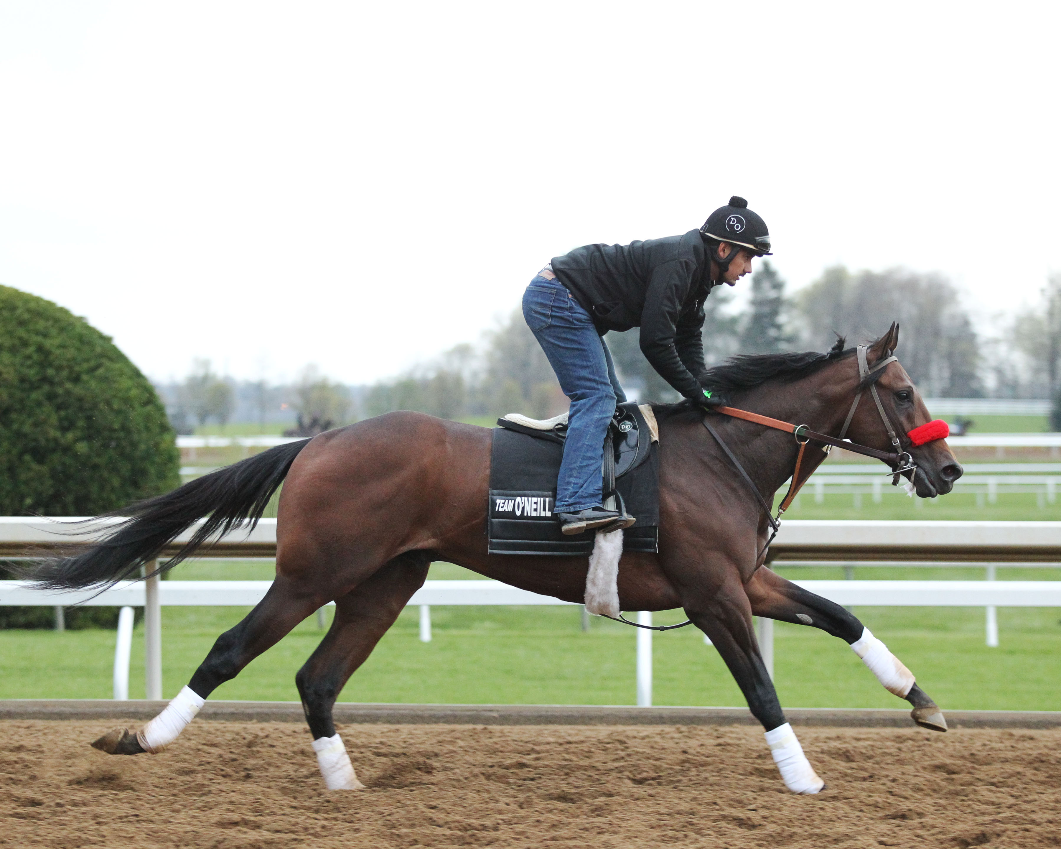 Nyquist