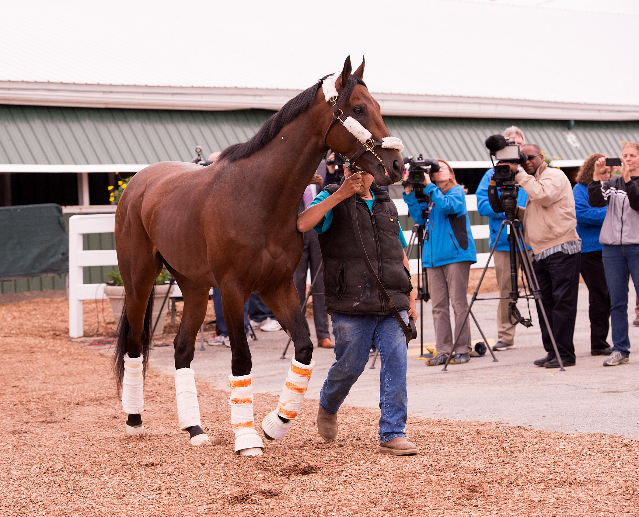 nyquist