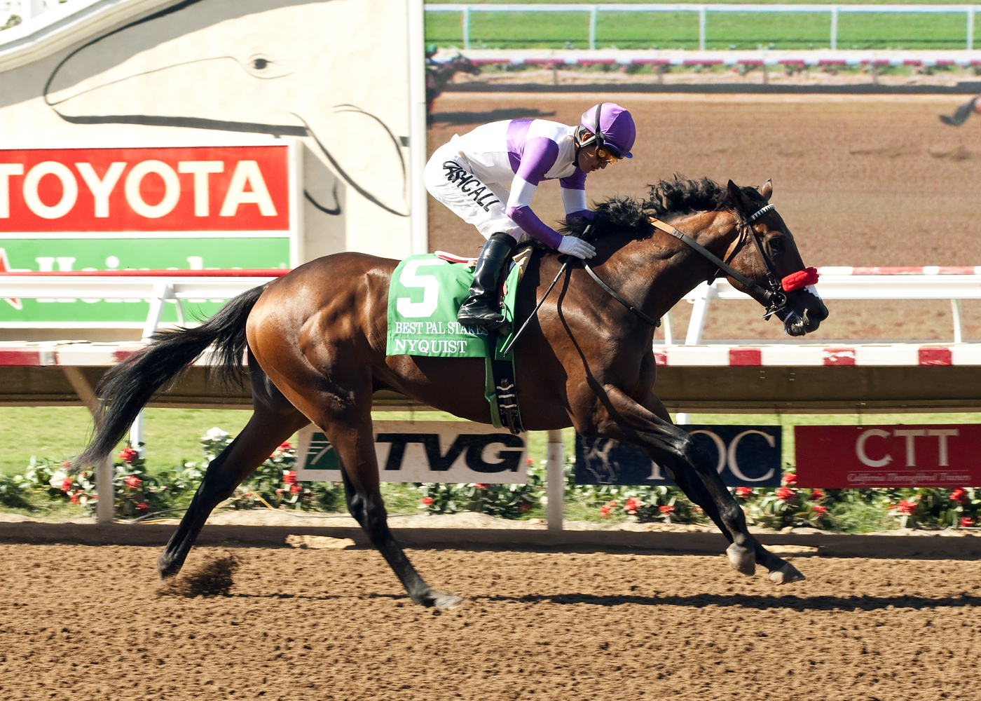 Nyquist