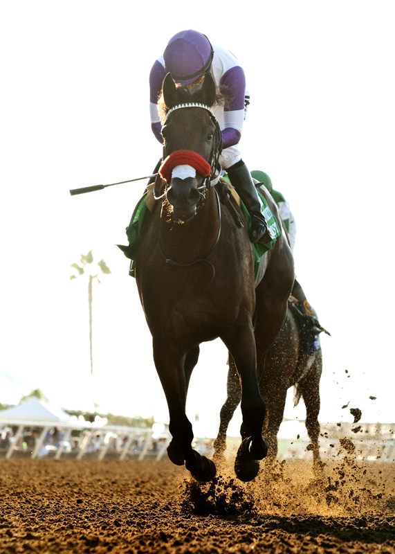 Nyquist