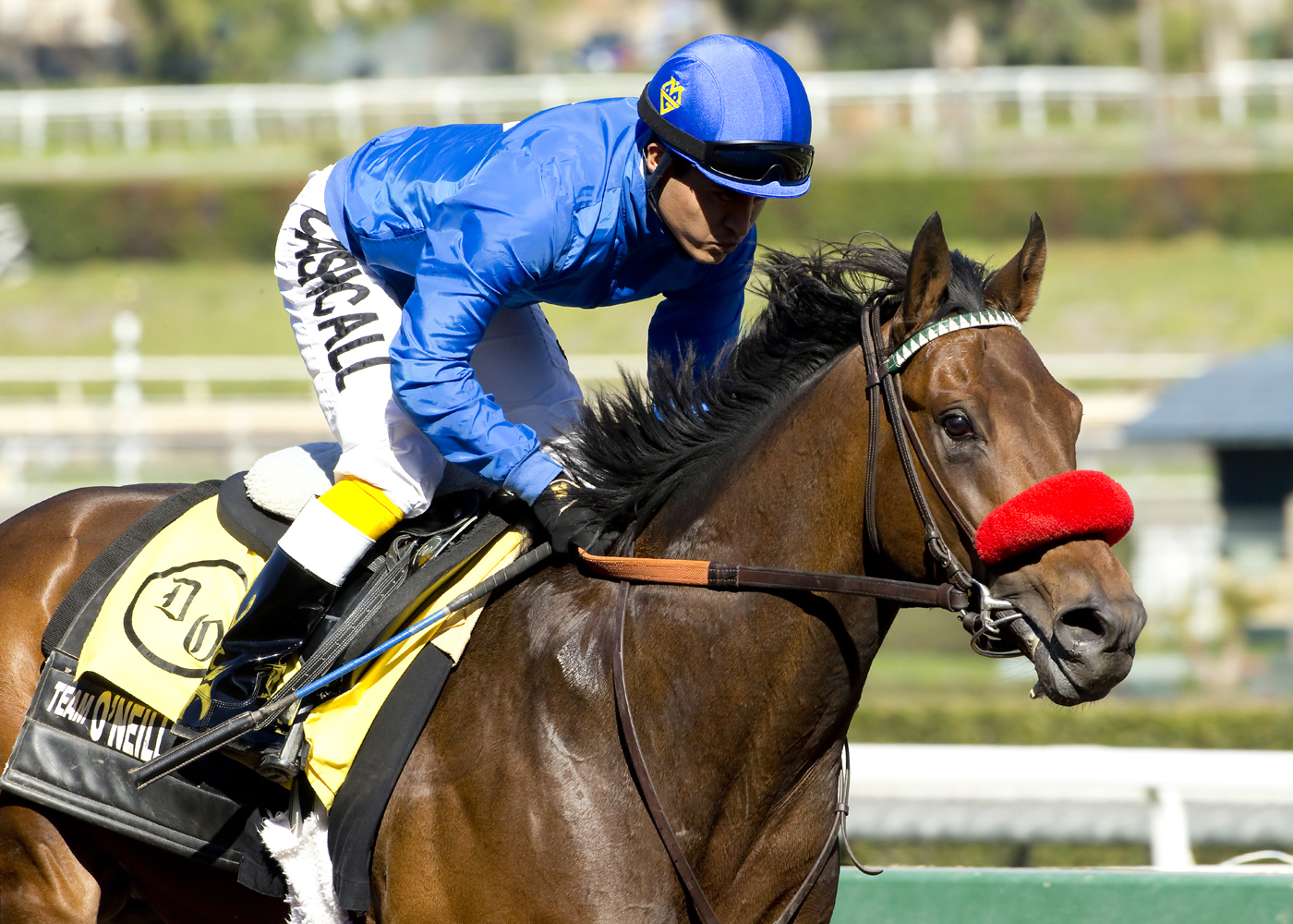 Nyquist 2-7-2016