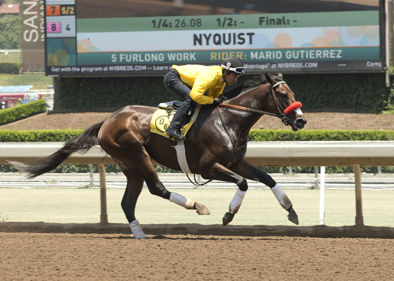 Nyquist