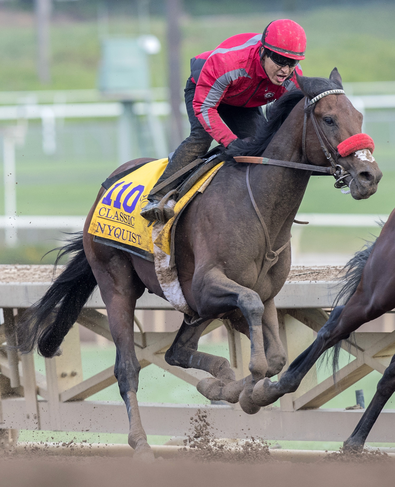 Nyquist trains at Santa Anita on Oct. 27