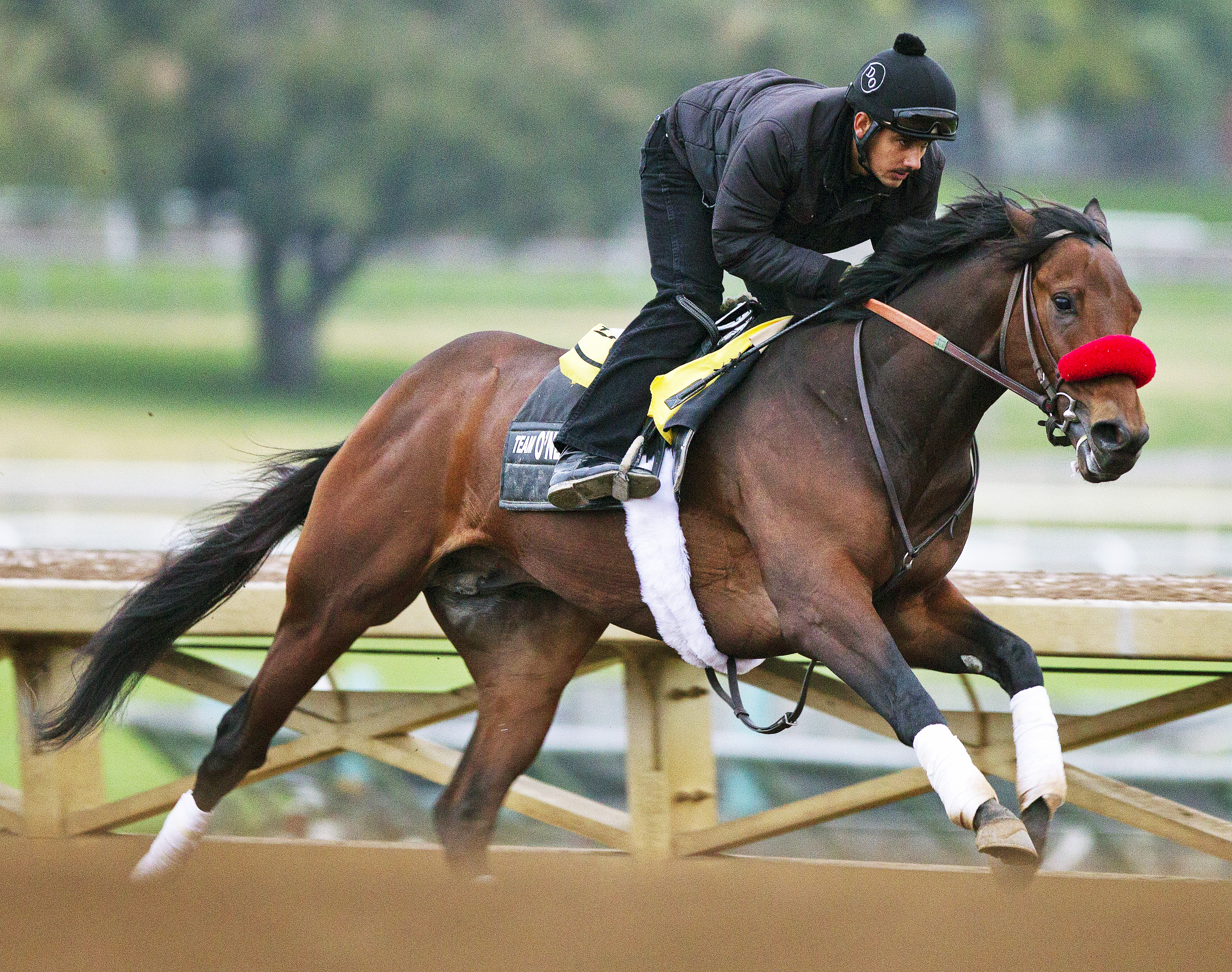 Nyquist works at Santa Anita on Jan. 10