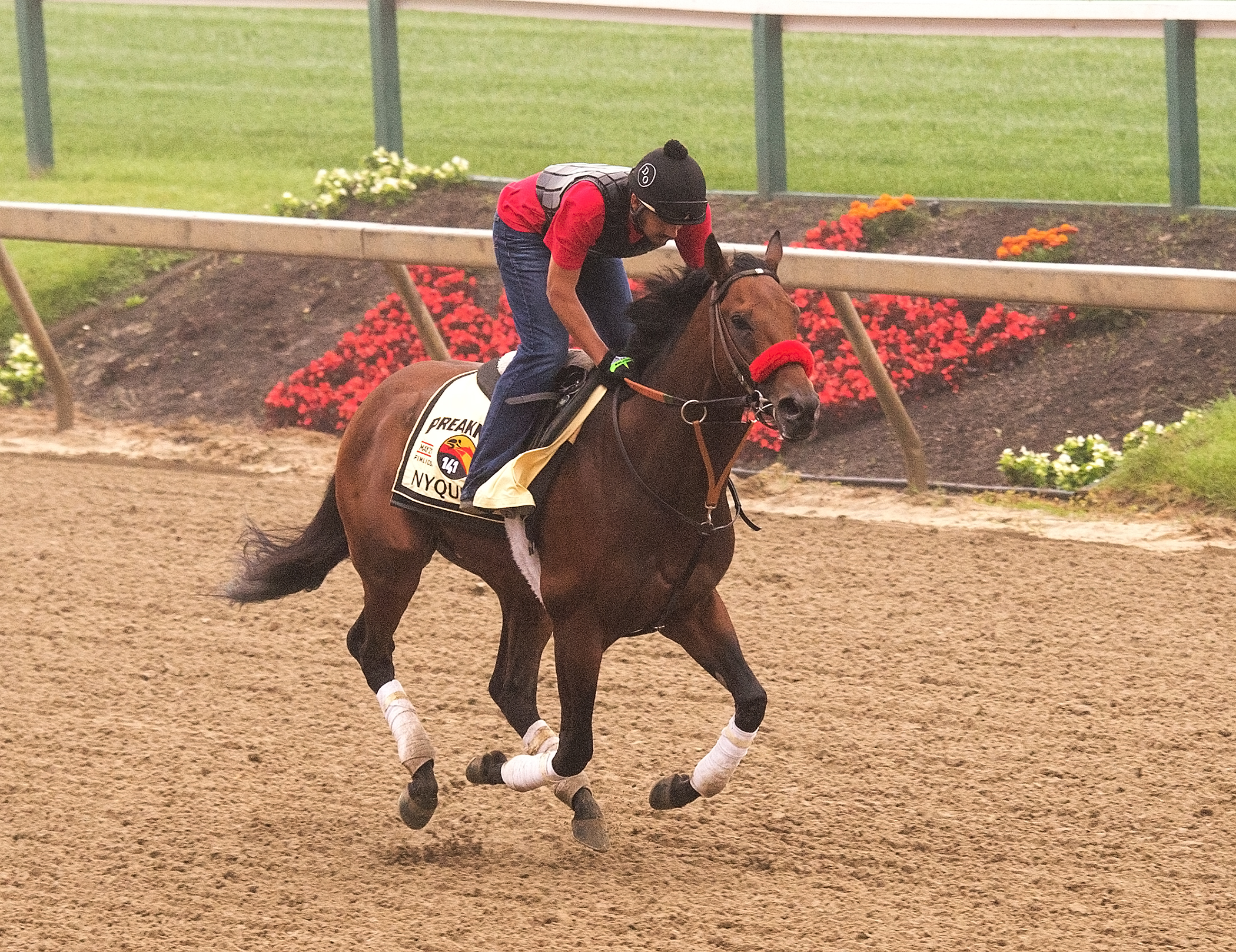 Nyquist trains at Pimlico on May 13