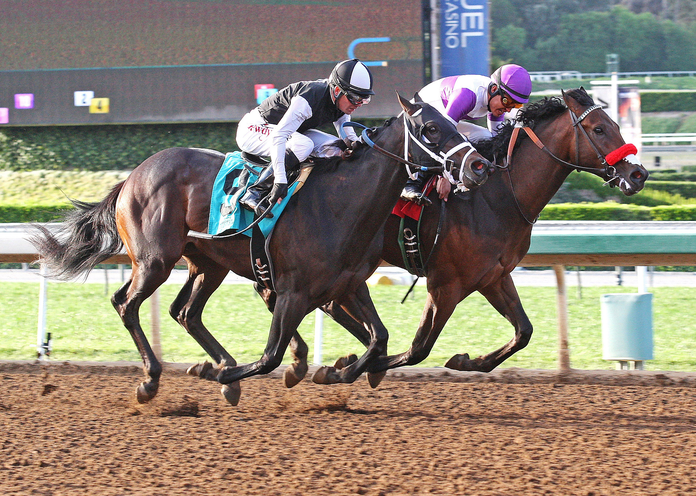 Nyquist wins a maiden race