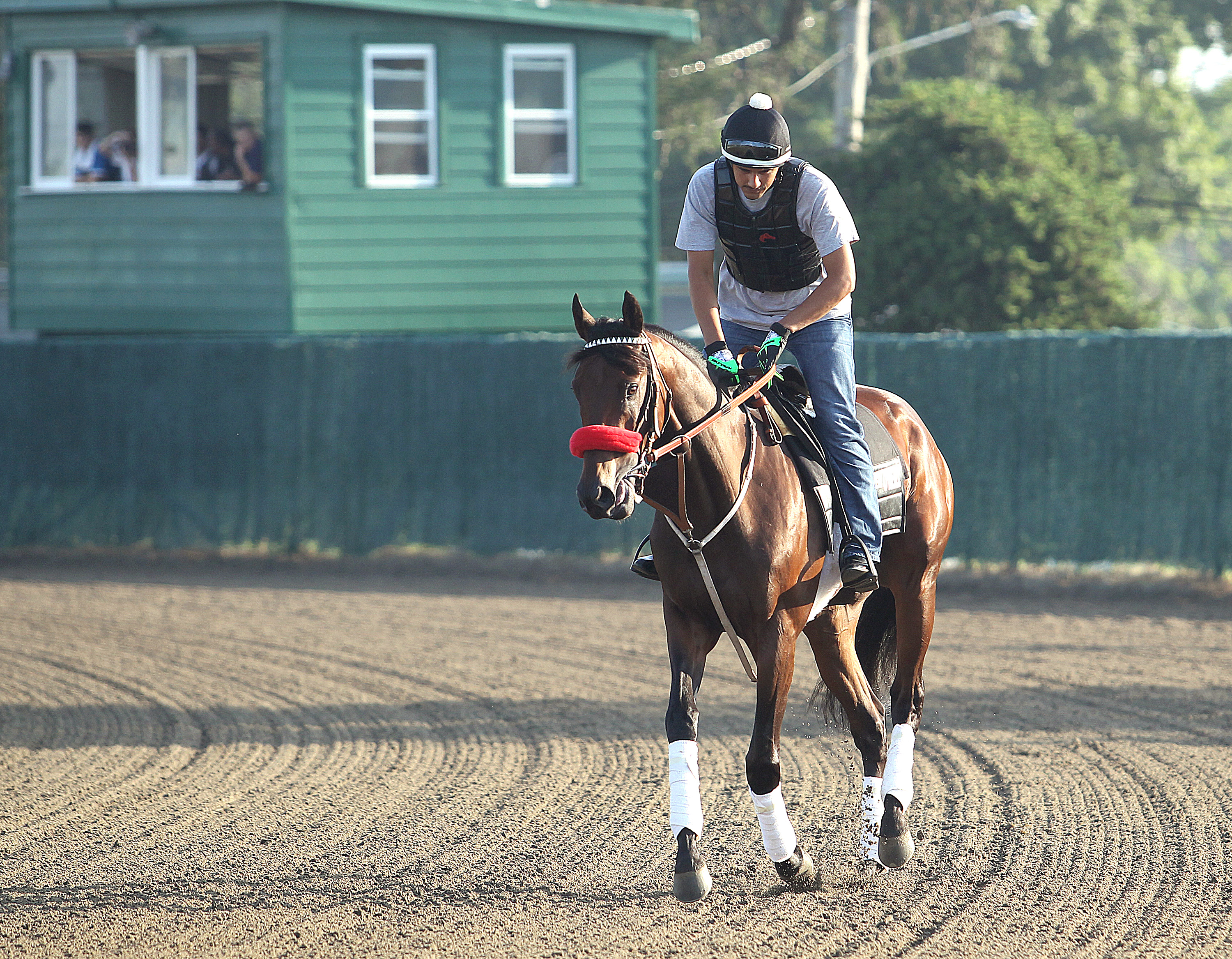 Nyquist at Monmouth Park on July 28