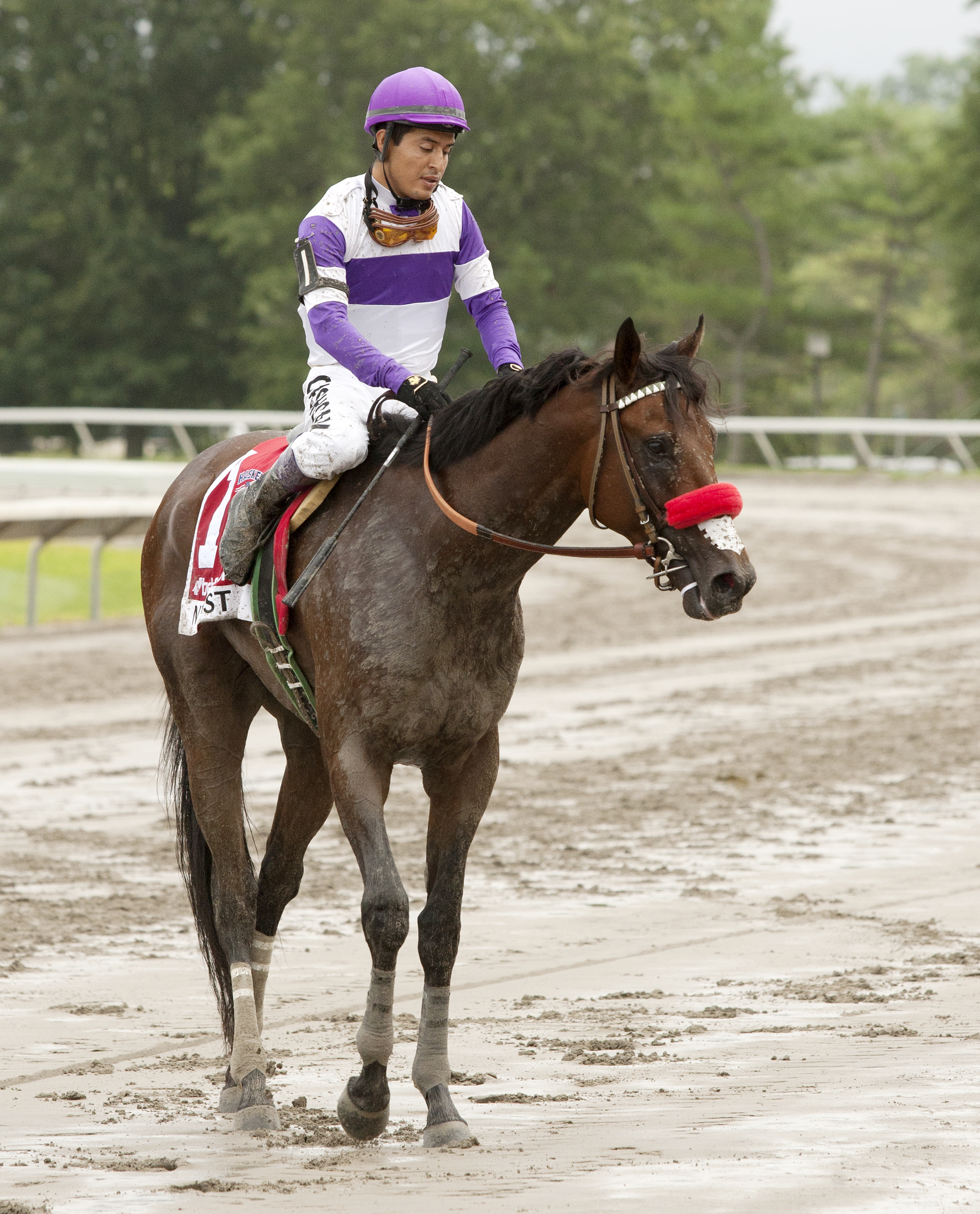 Nyquist after finishing fourth in the Haskell