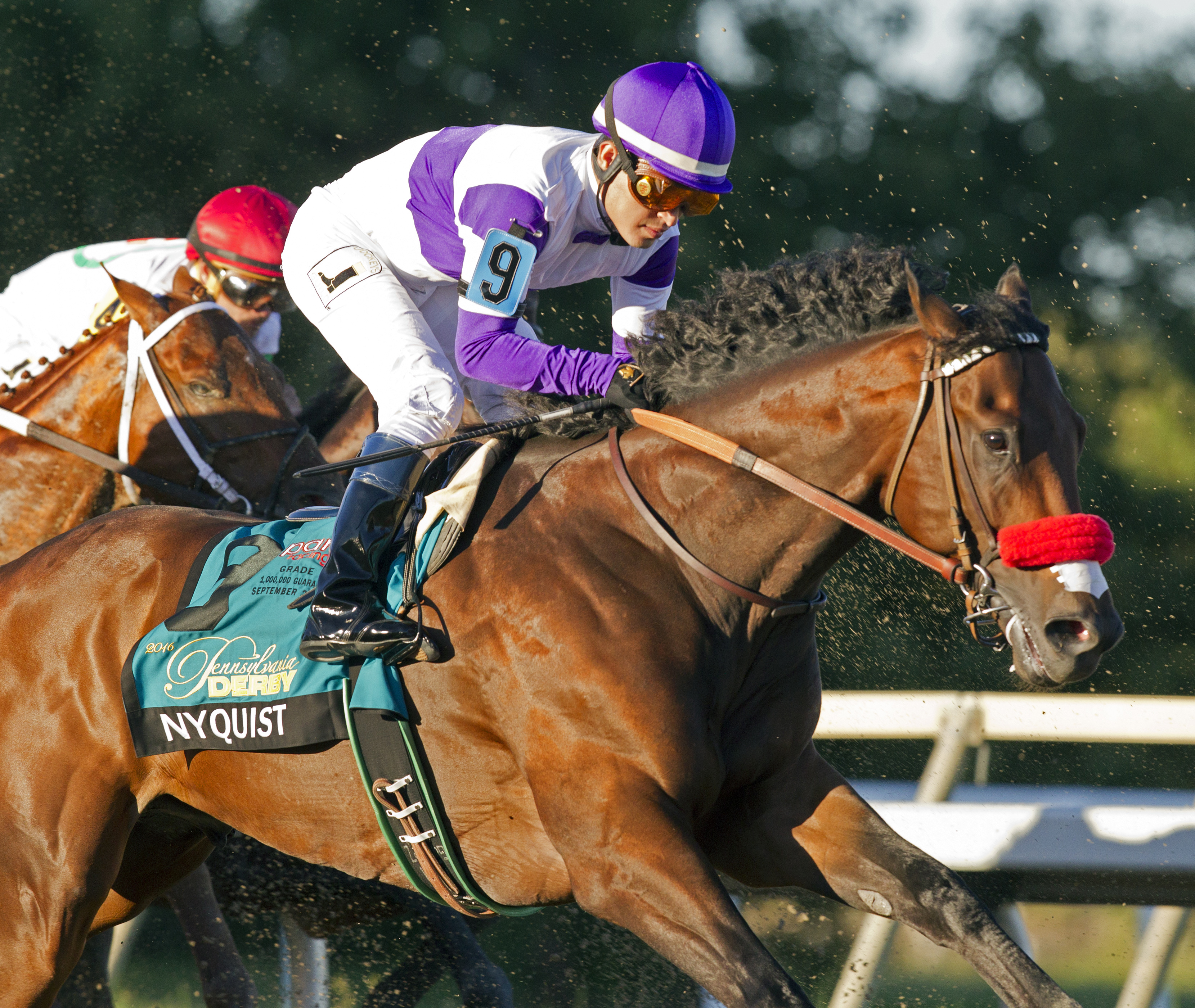 Nyquist finishes sixth in the Pennsylvania Derby
