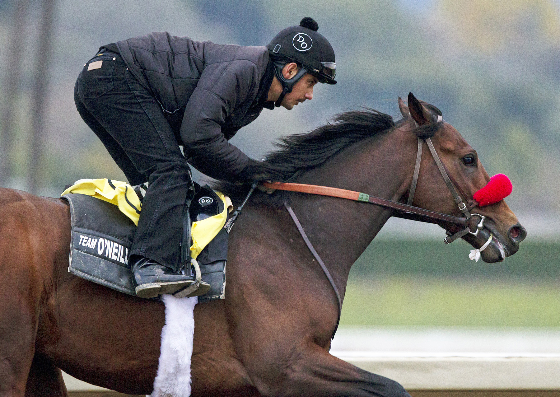 Nyquist works at Santa Anita on Jan. 10