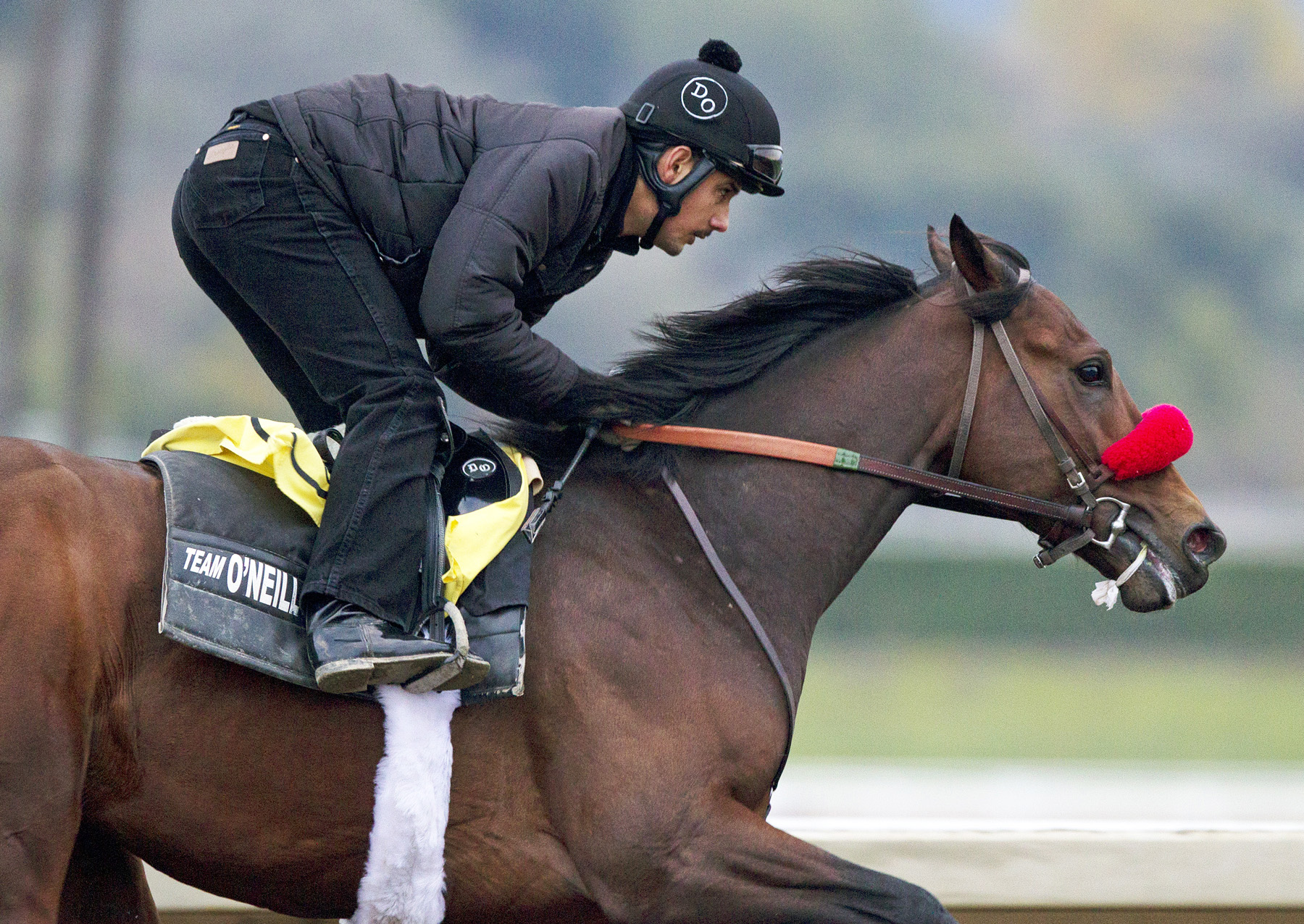 Nyquist trains at Santa Anita on Jan. 10