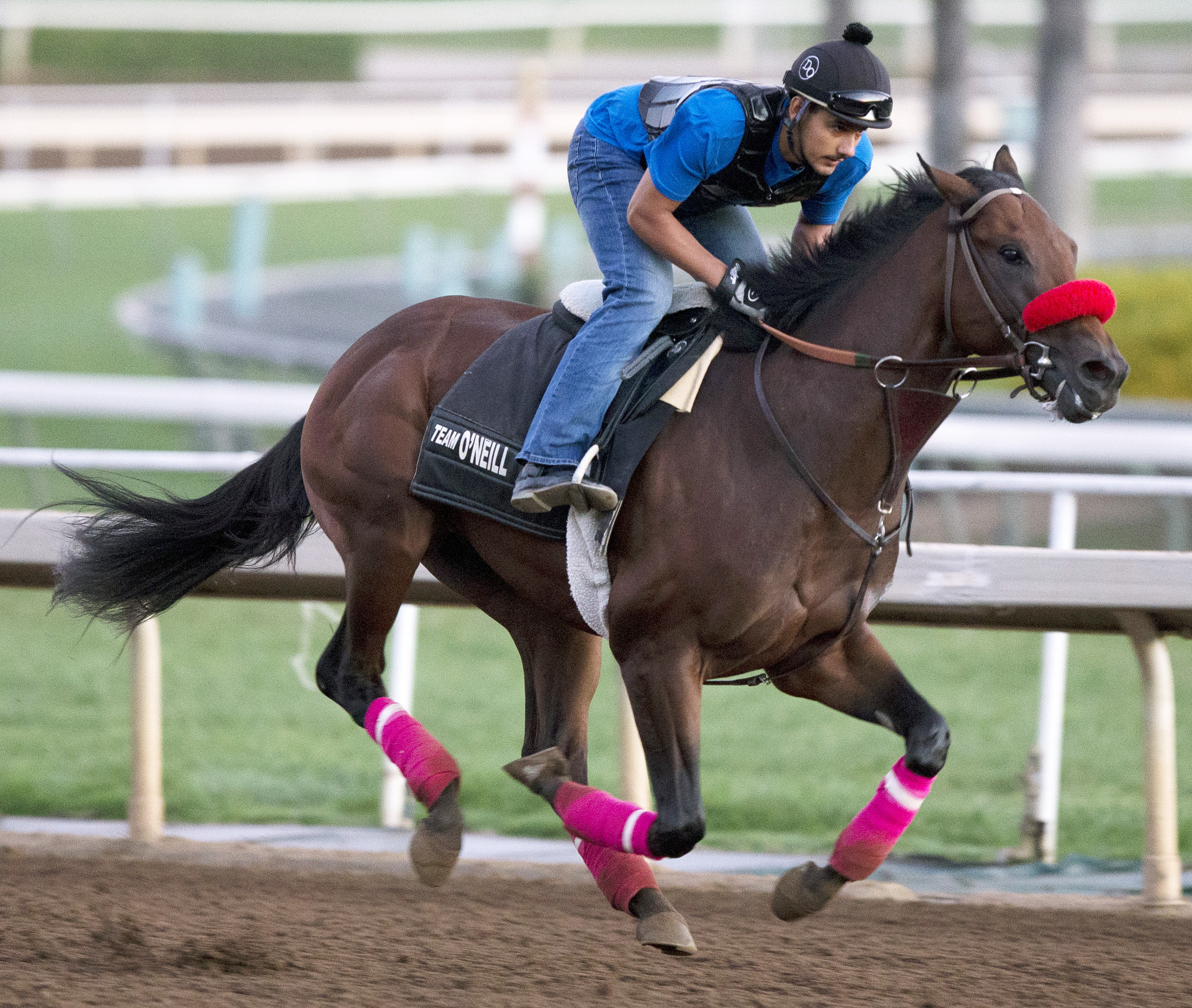 Nyquist trains on Oct. 9