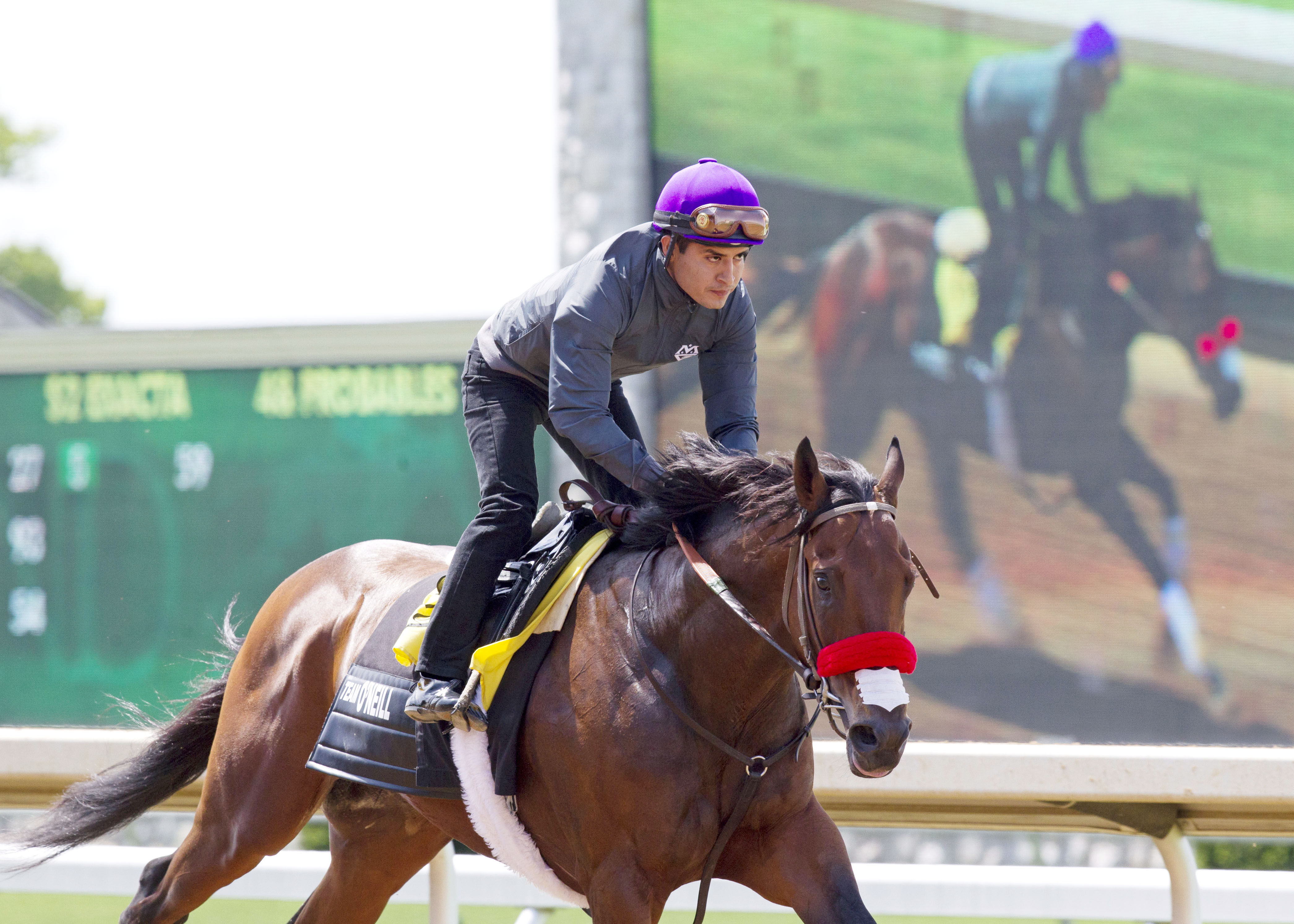 Nyquist trains at Keeneland on April 29