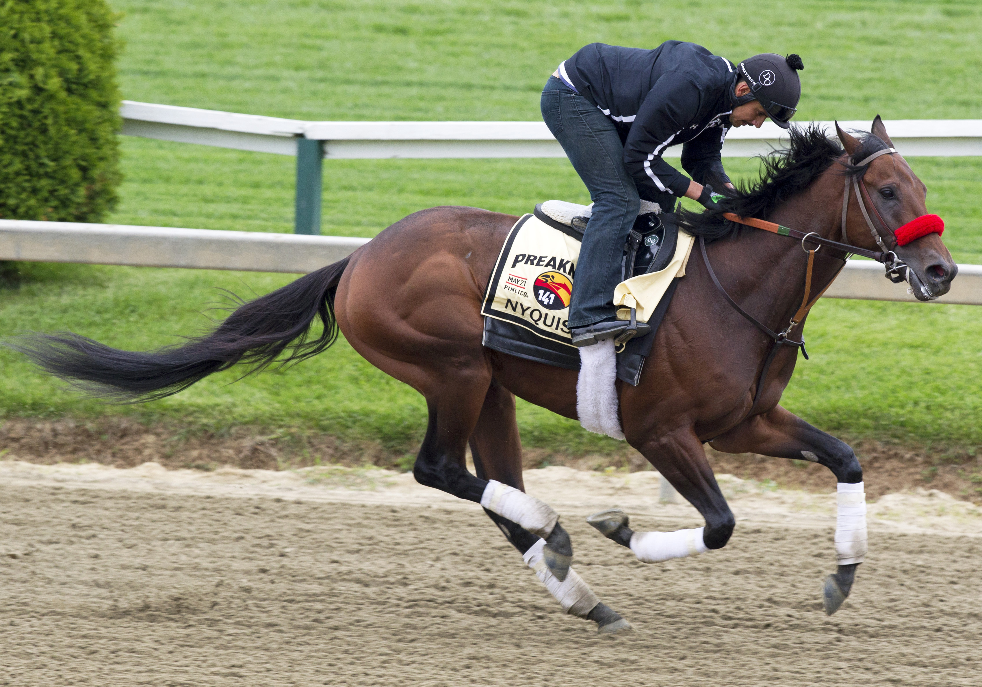 Nyquist trains at Pimlico on May 19
