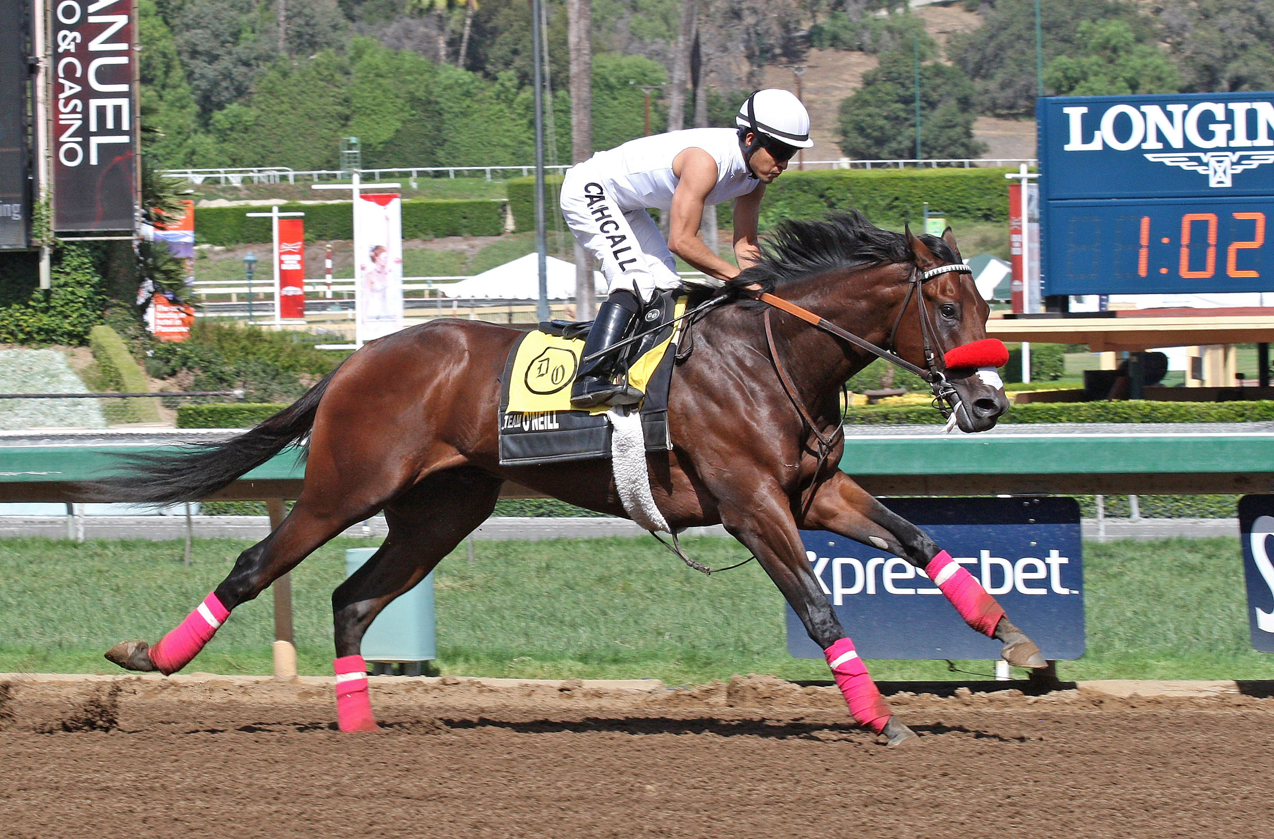Nyquist works at Santa Anita on Oct. 23