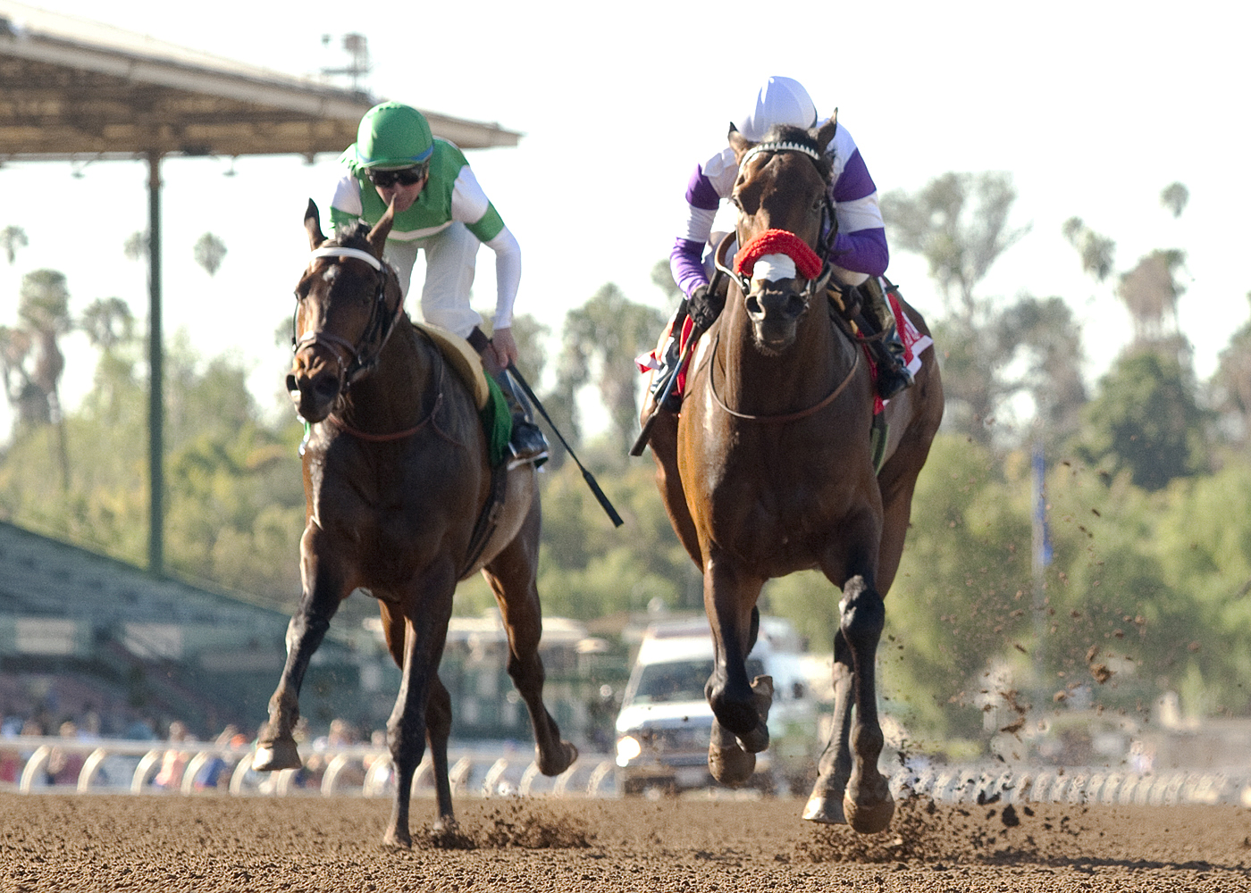 Exaggerator finishes second in the San Vincente