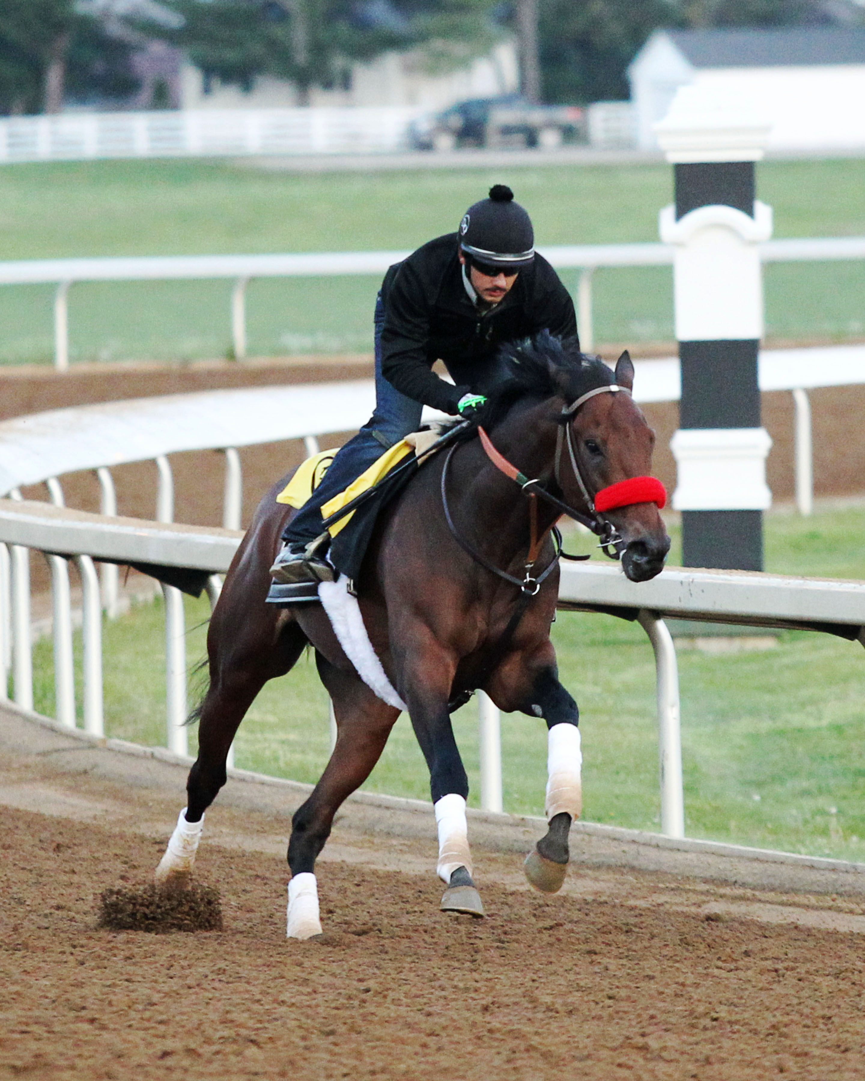 Nyquist trains at Keeneland on April 15