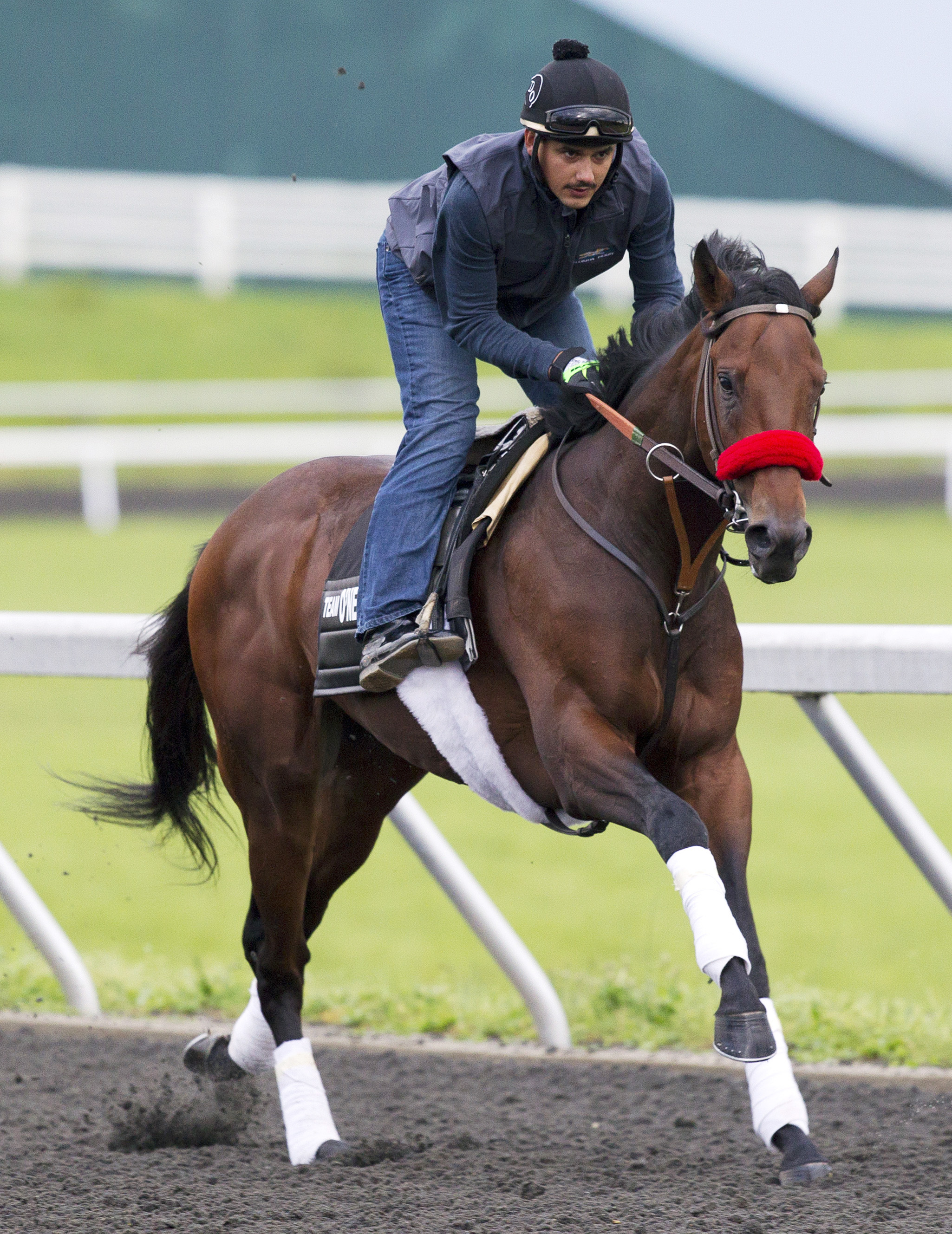 Nyquist jogs at Keeneland on April 22