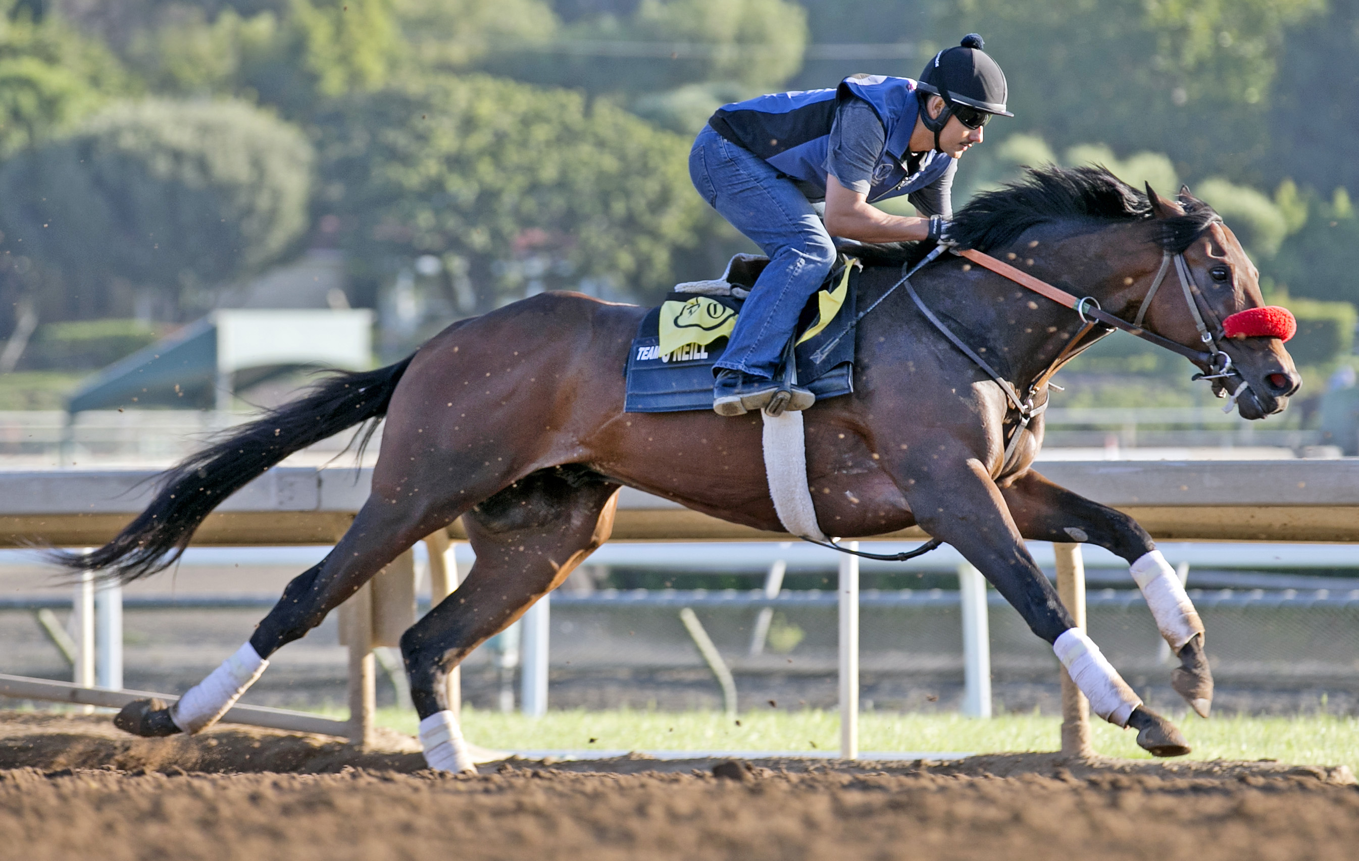 Nyquist works at Santa Anita on June 17