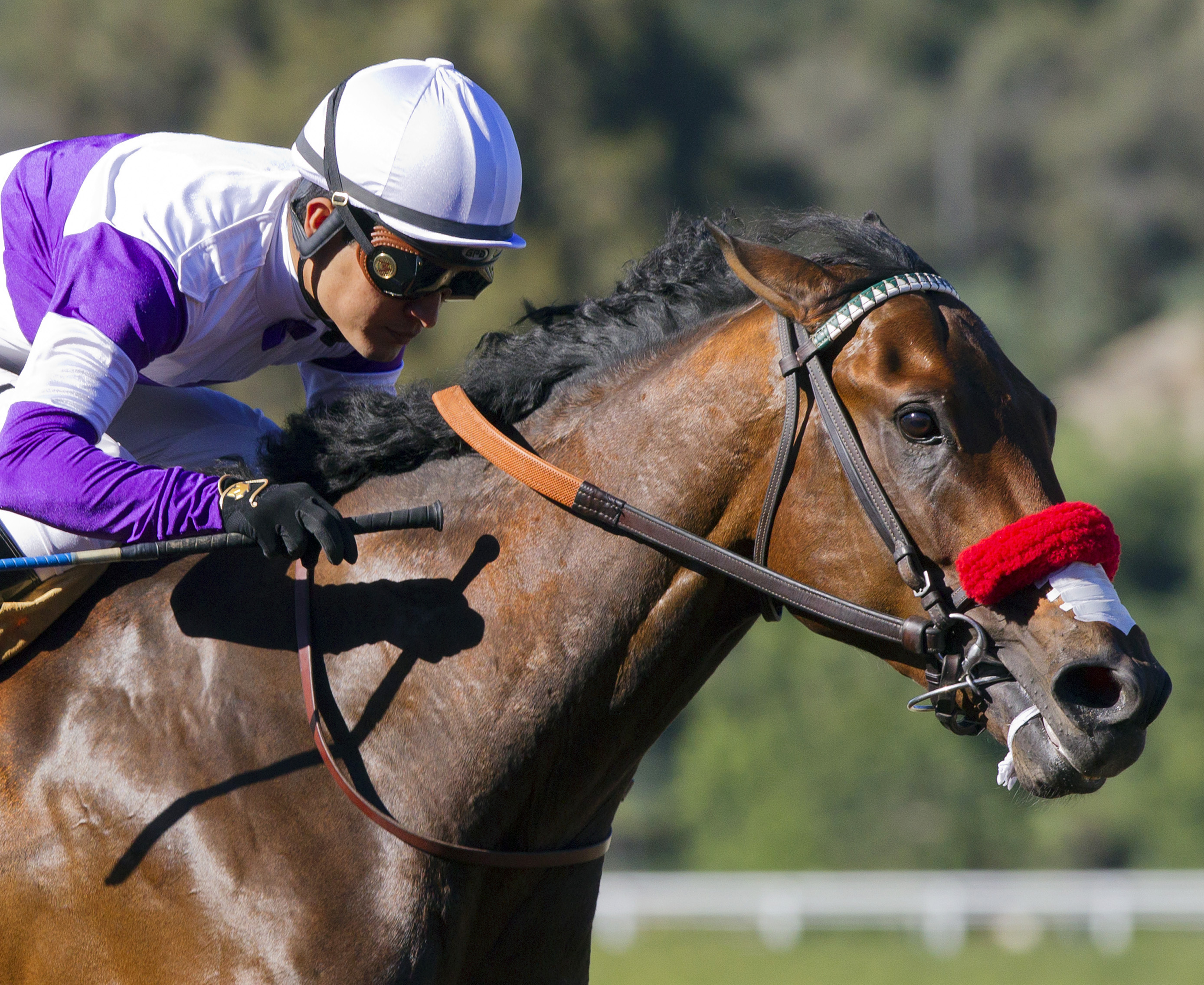 Nyquist wins the San Vincente
