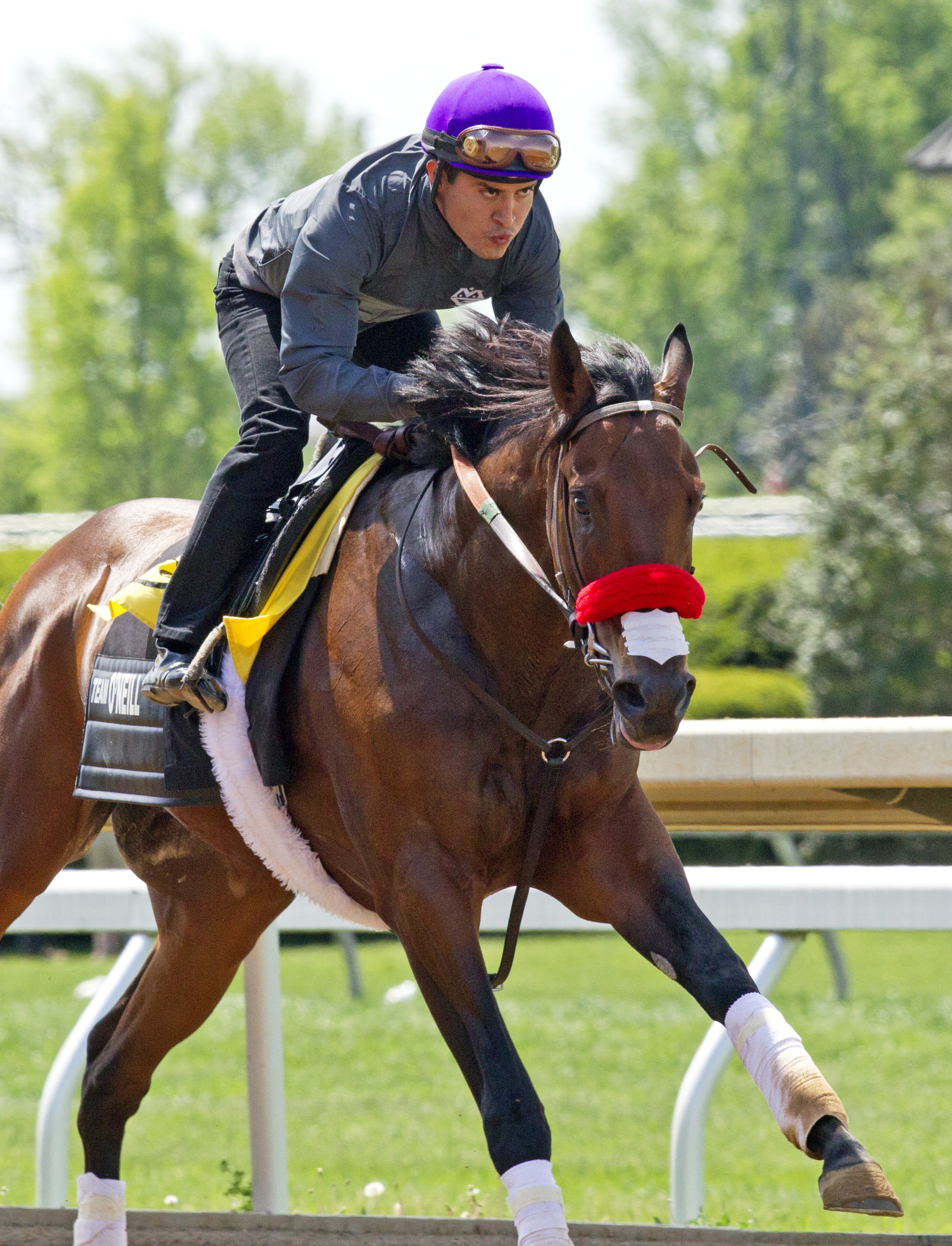 Nyquist under Mario Gutierrez at Keeneland on April 29