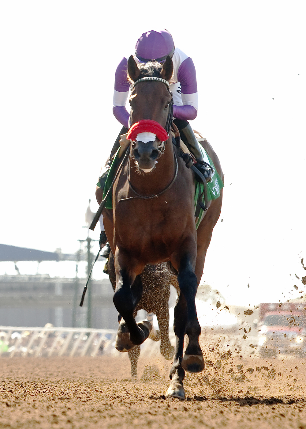 Nyquist wins the Best Pal