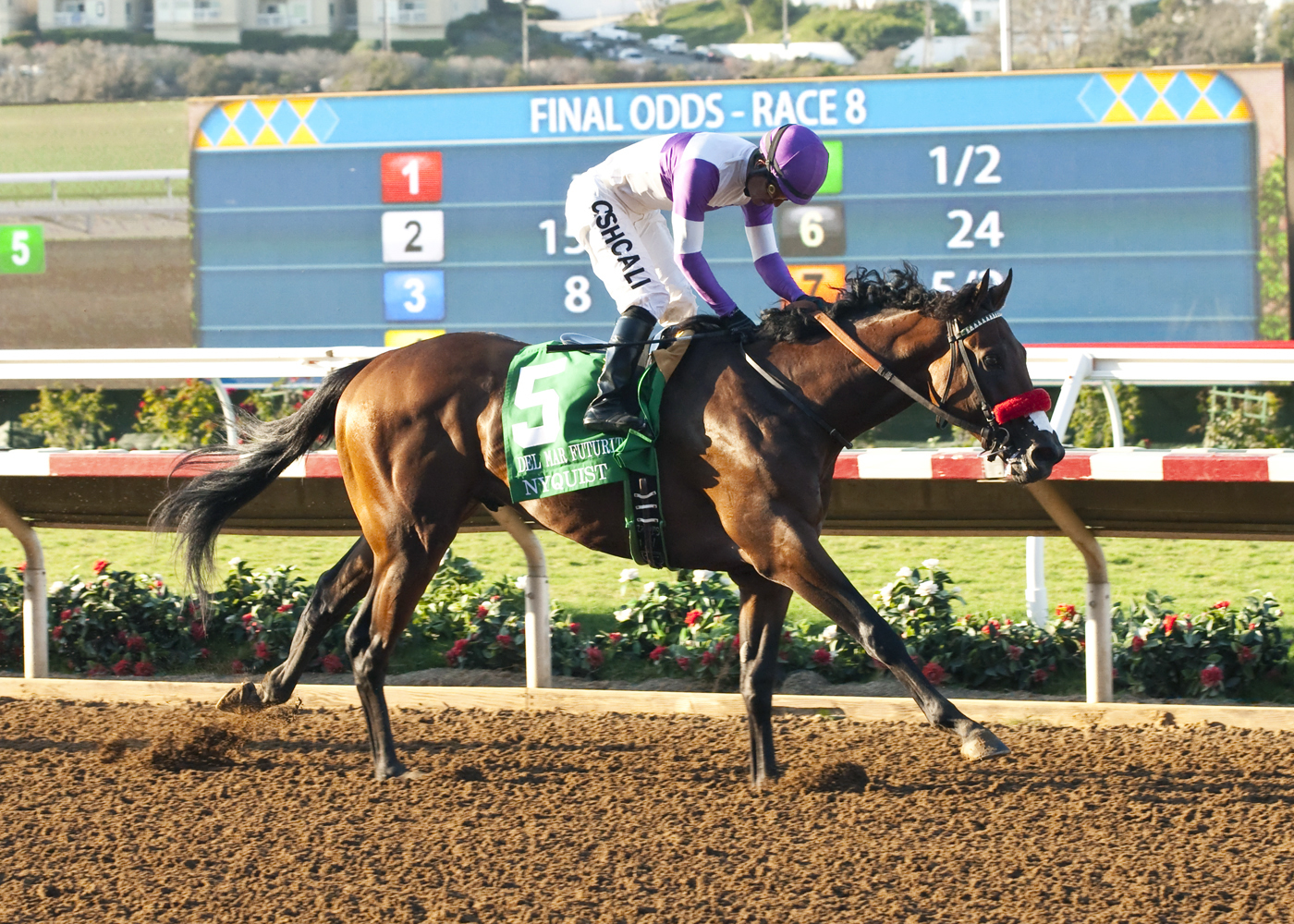 Nyquist wins the Del Mar Futurity